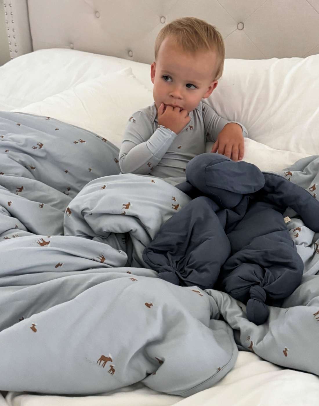 fall/winter blankets