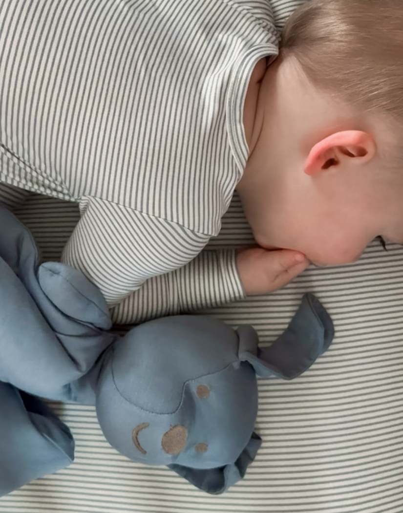 Spring Crib Sheets