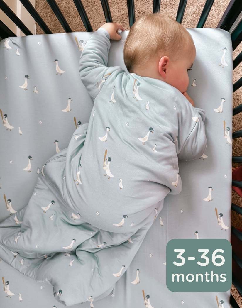 Spring Long Sleeve Sleep Sacks