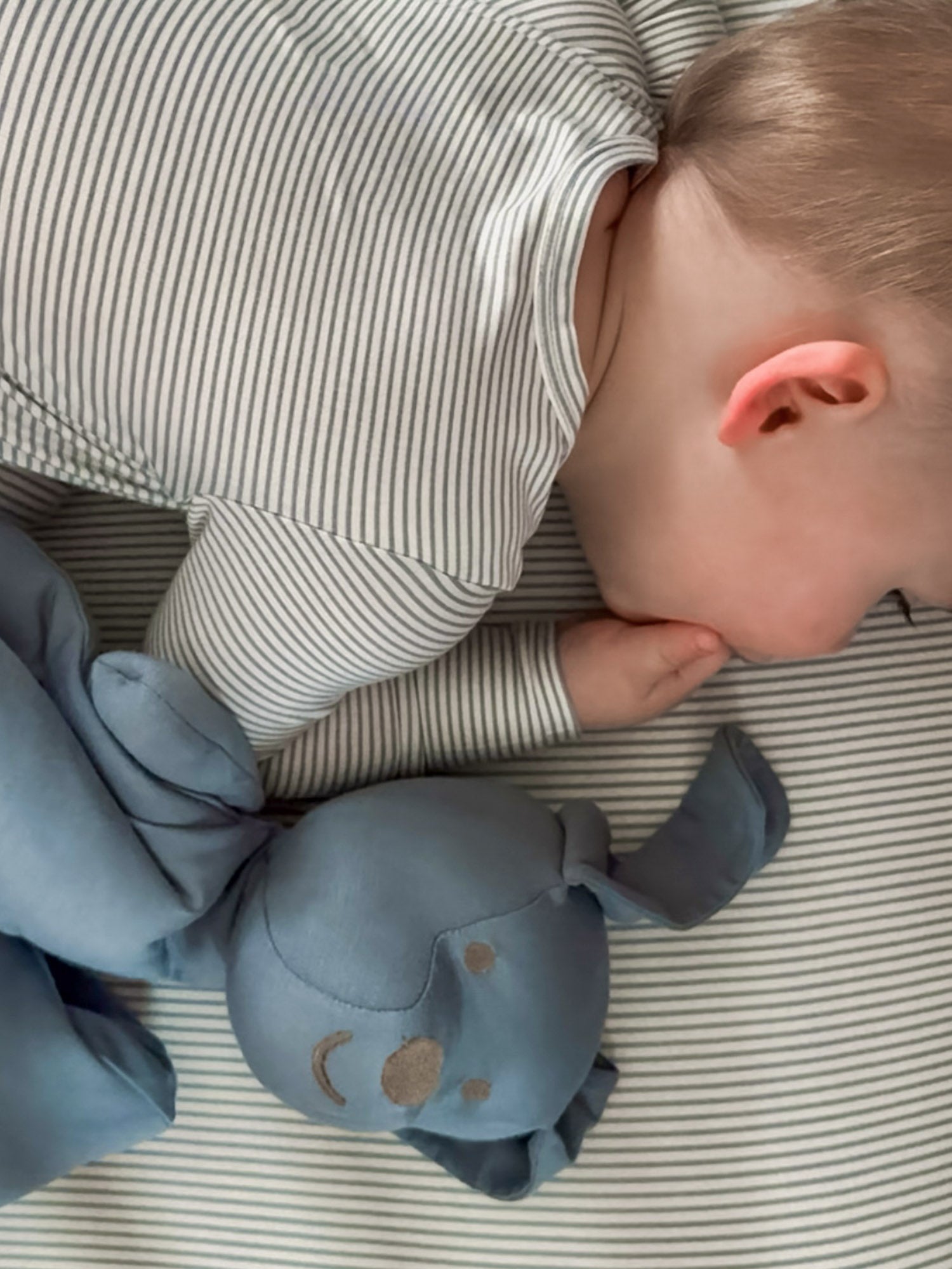 Crib Sheet - Blue stripe