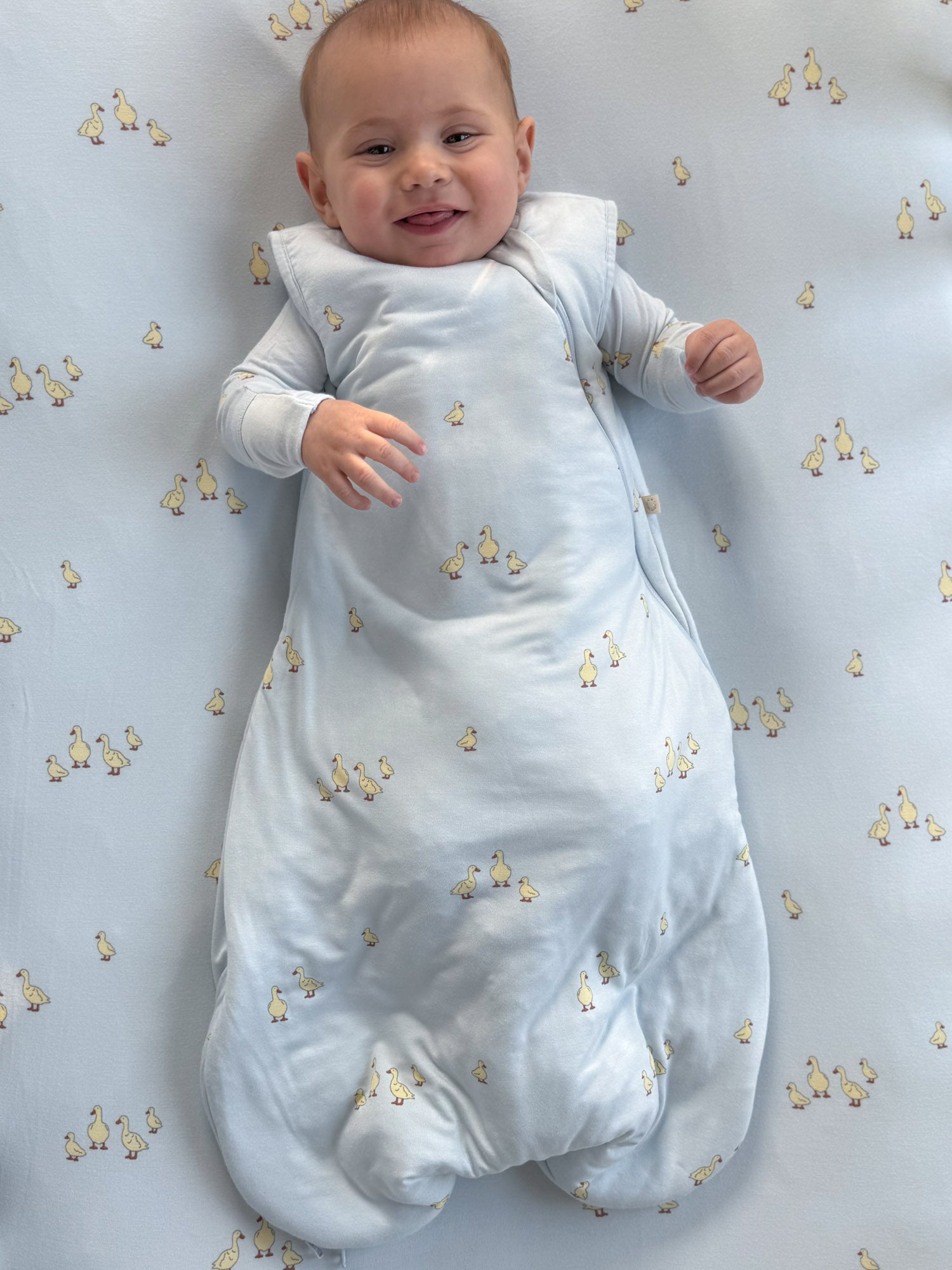 Transitional Swaddle Sleep Sack - Friends / 1.0 TOG