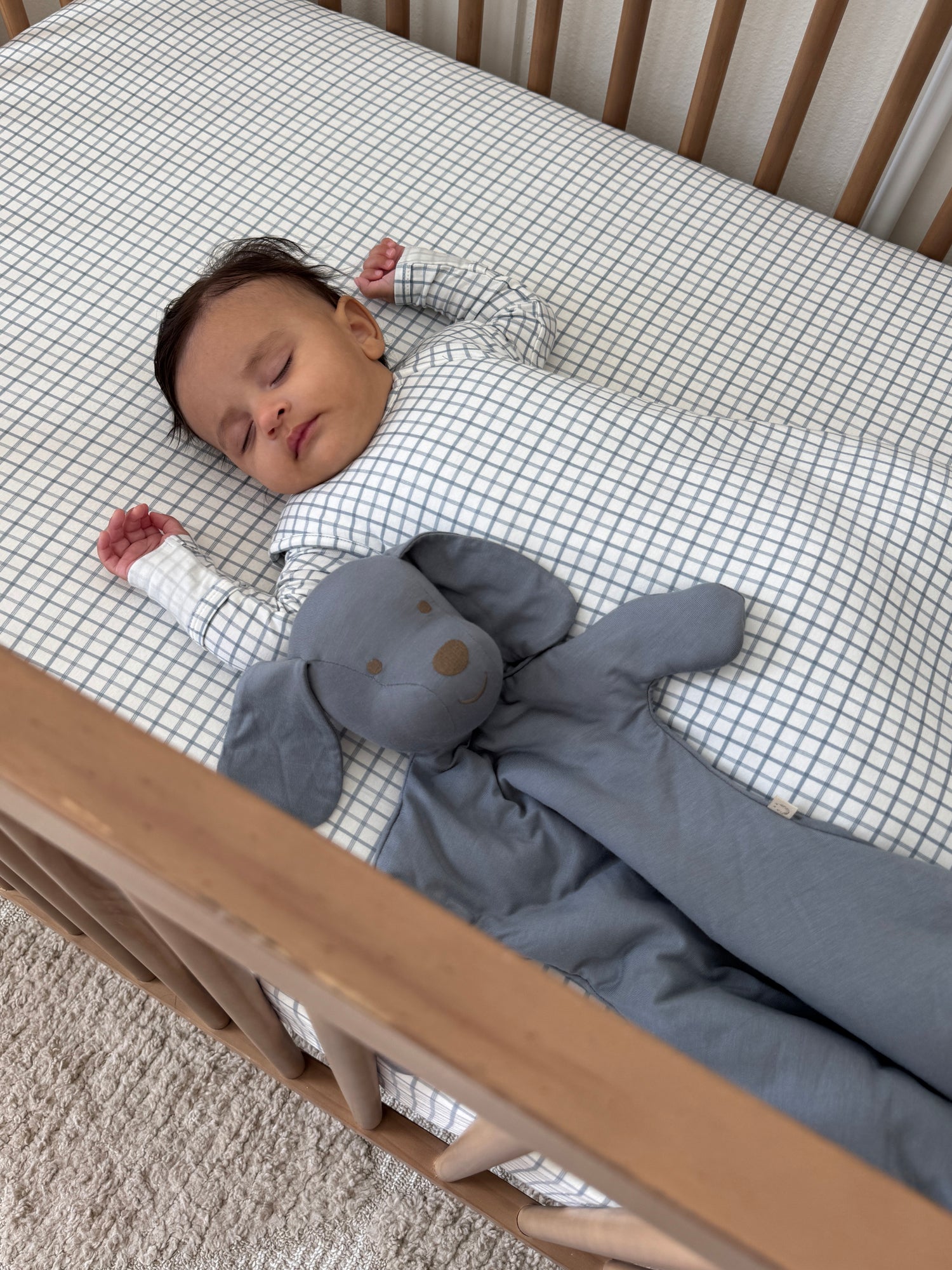 Crib Sheet - Checkmate