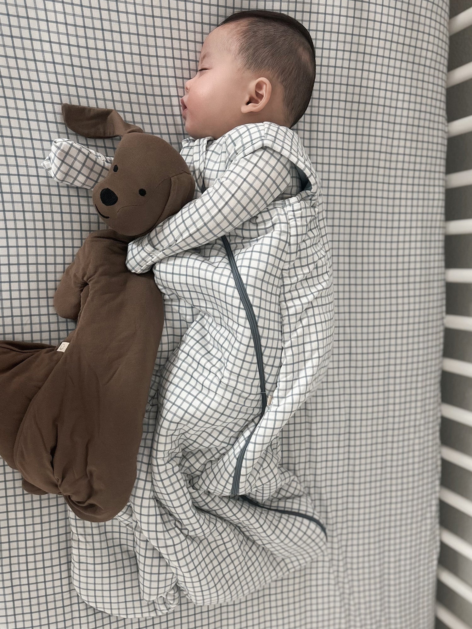 Crib Sheet - Checkmate