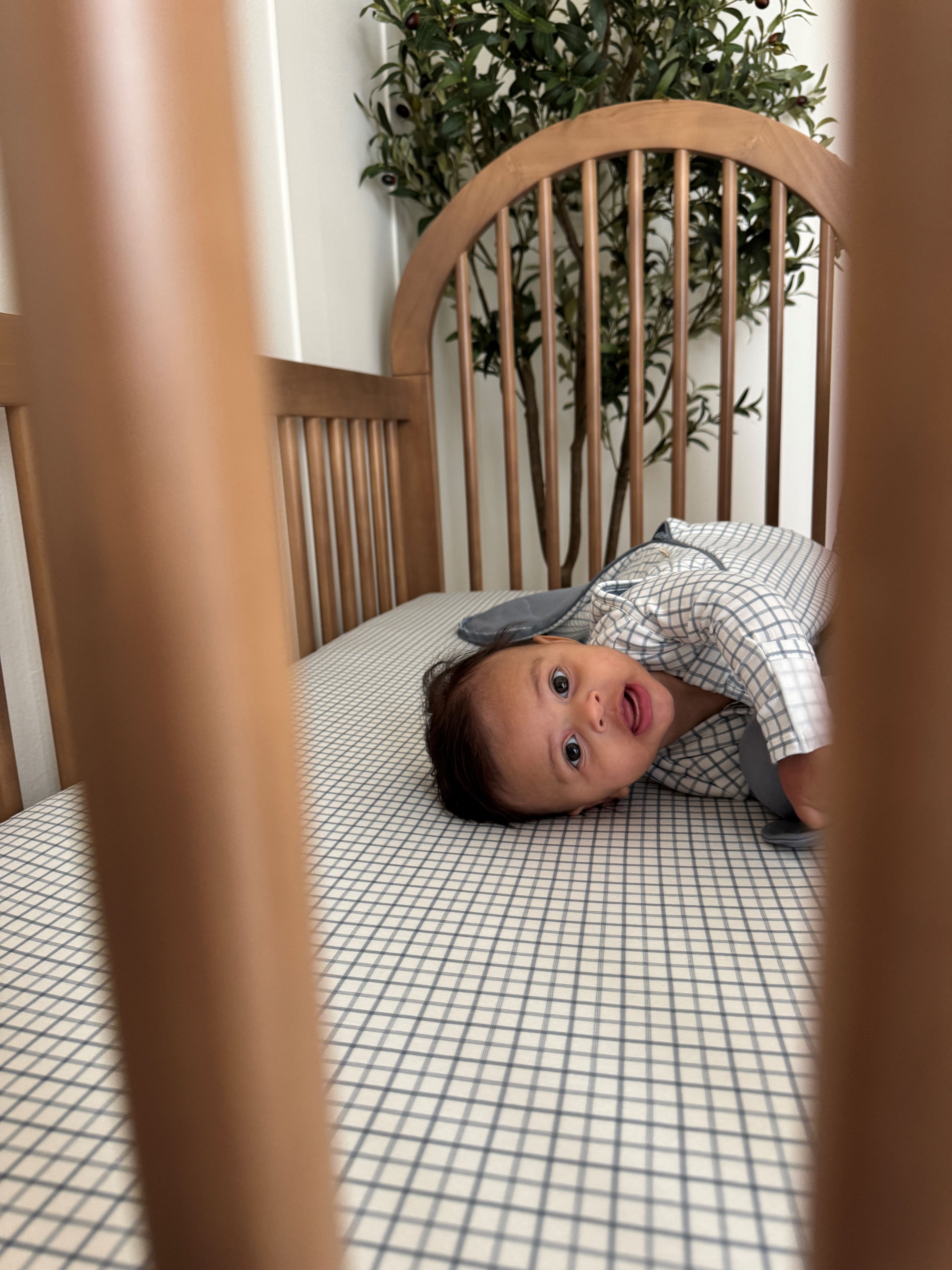 Crib Sheet - Checkmate