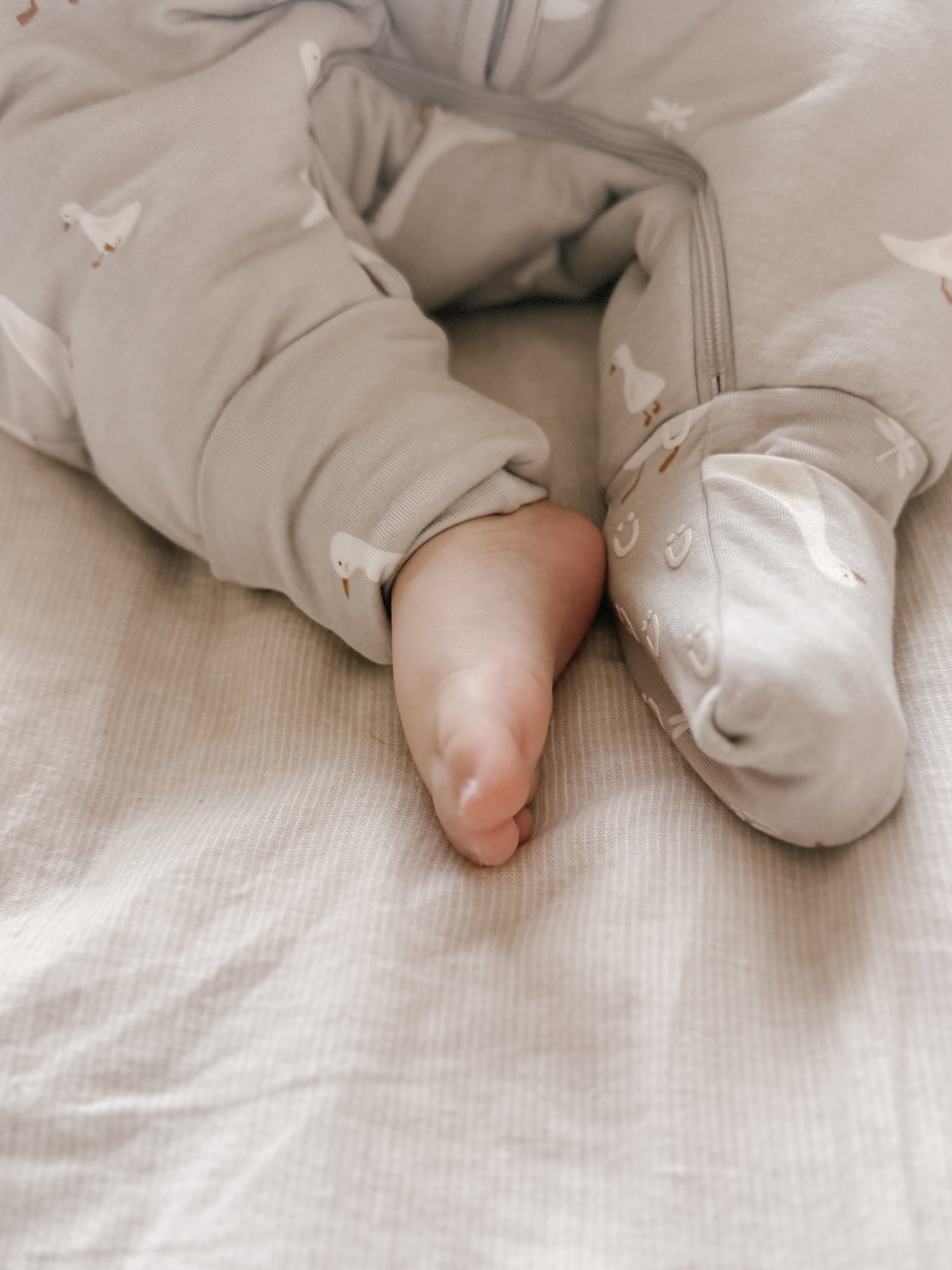 Long Sleeve Footie Sleep Sack - Goose / 2.5 TOG
