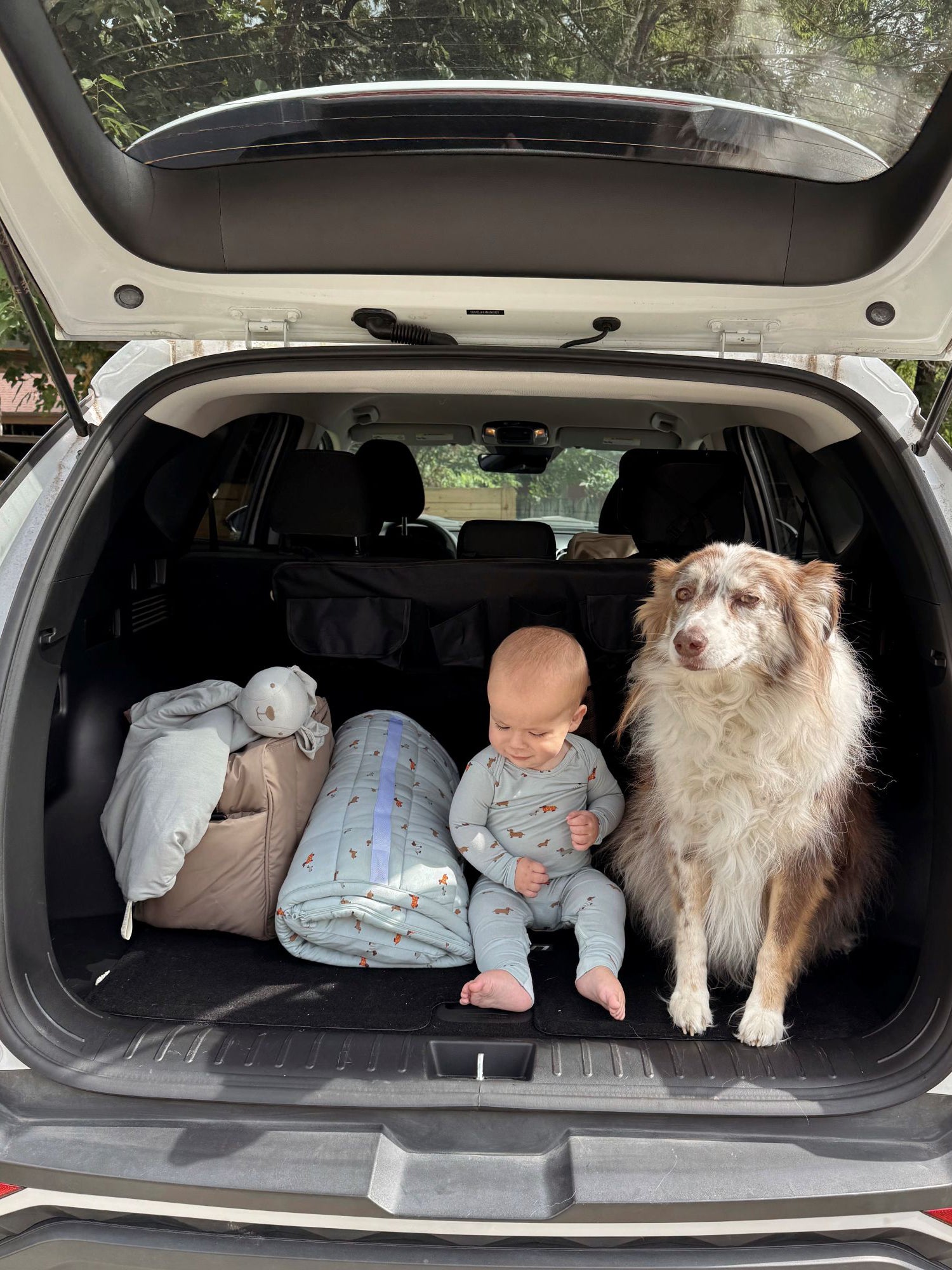 Convertible Pajama - Woof