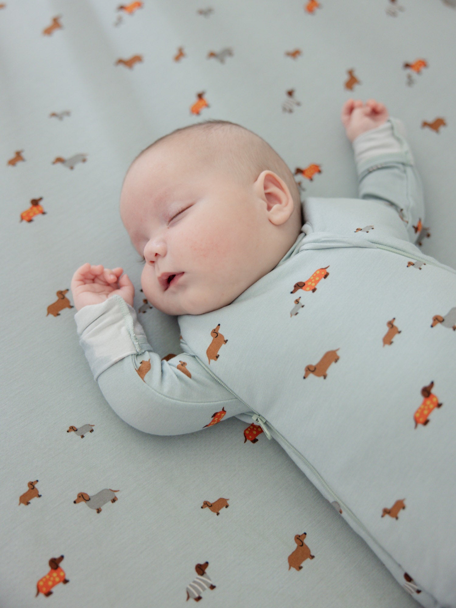 Swaddle Sleep Sack - Woof / 1.0 TOG