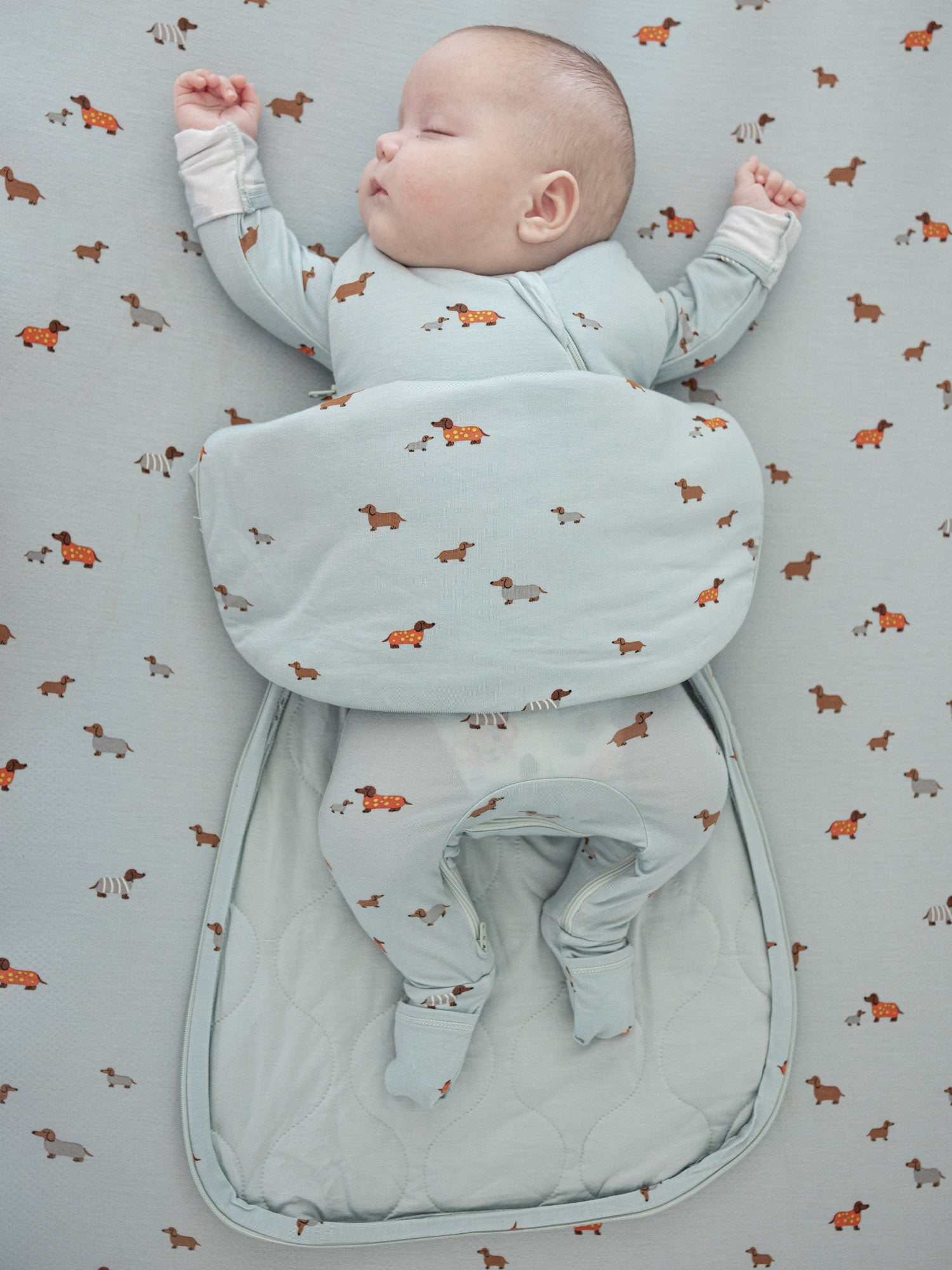Swaddle Sleep Sack - Woof / 1.0 TOG