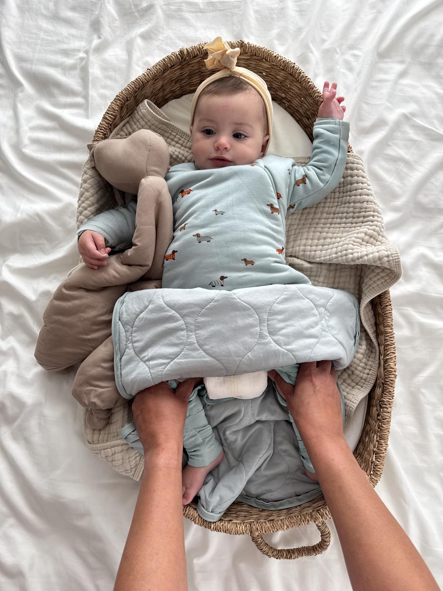 Long Sleeve Transitional Swaddle Sack - Woof / 1.0 TOG