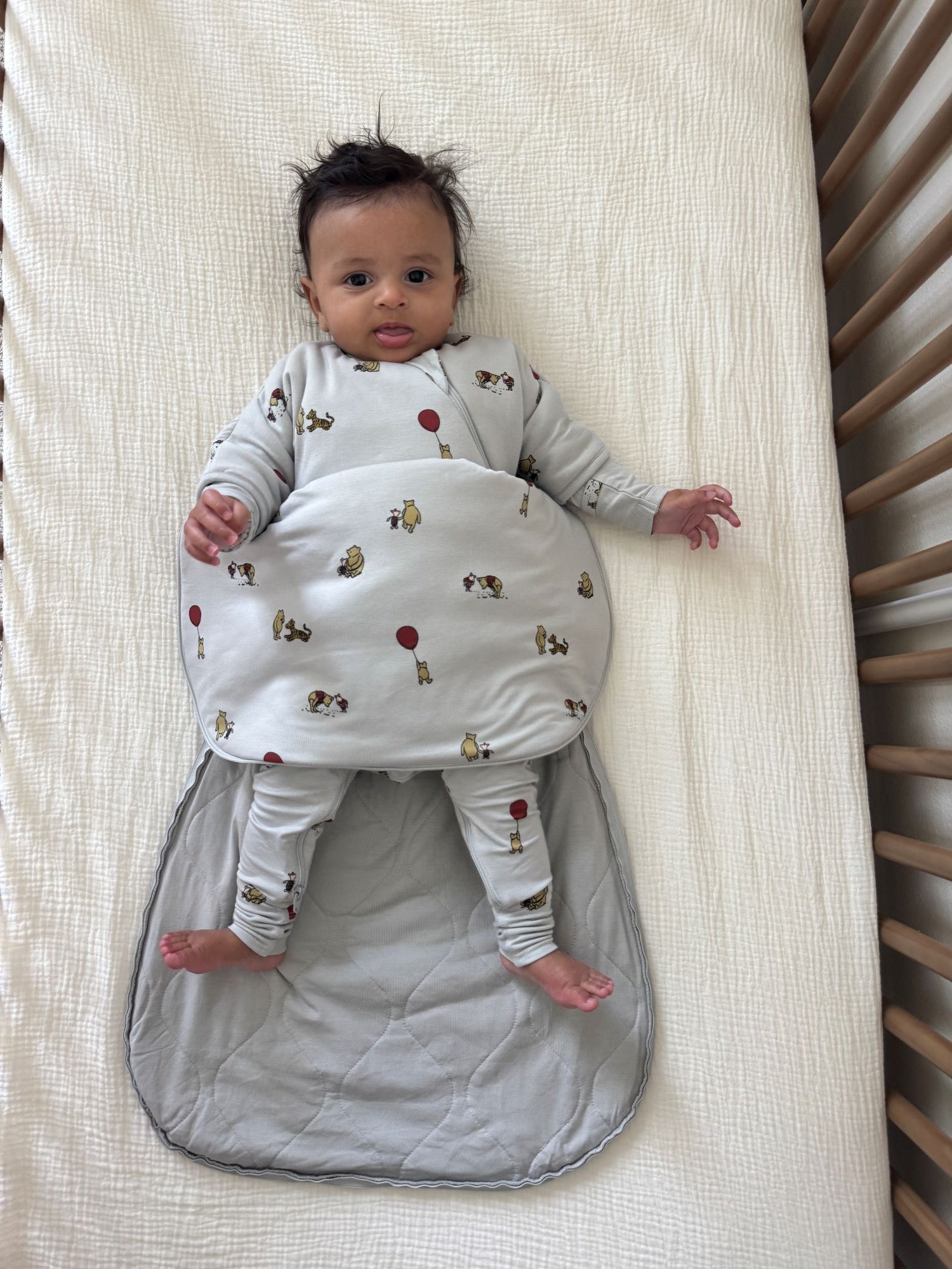 Long Sleeve Transitional Swaddle Sack - Pooh / 2.5 TOG