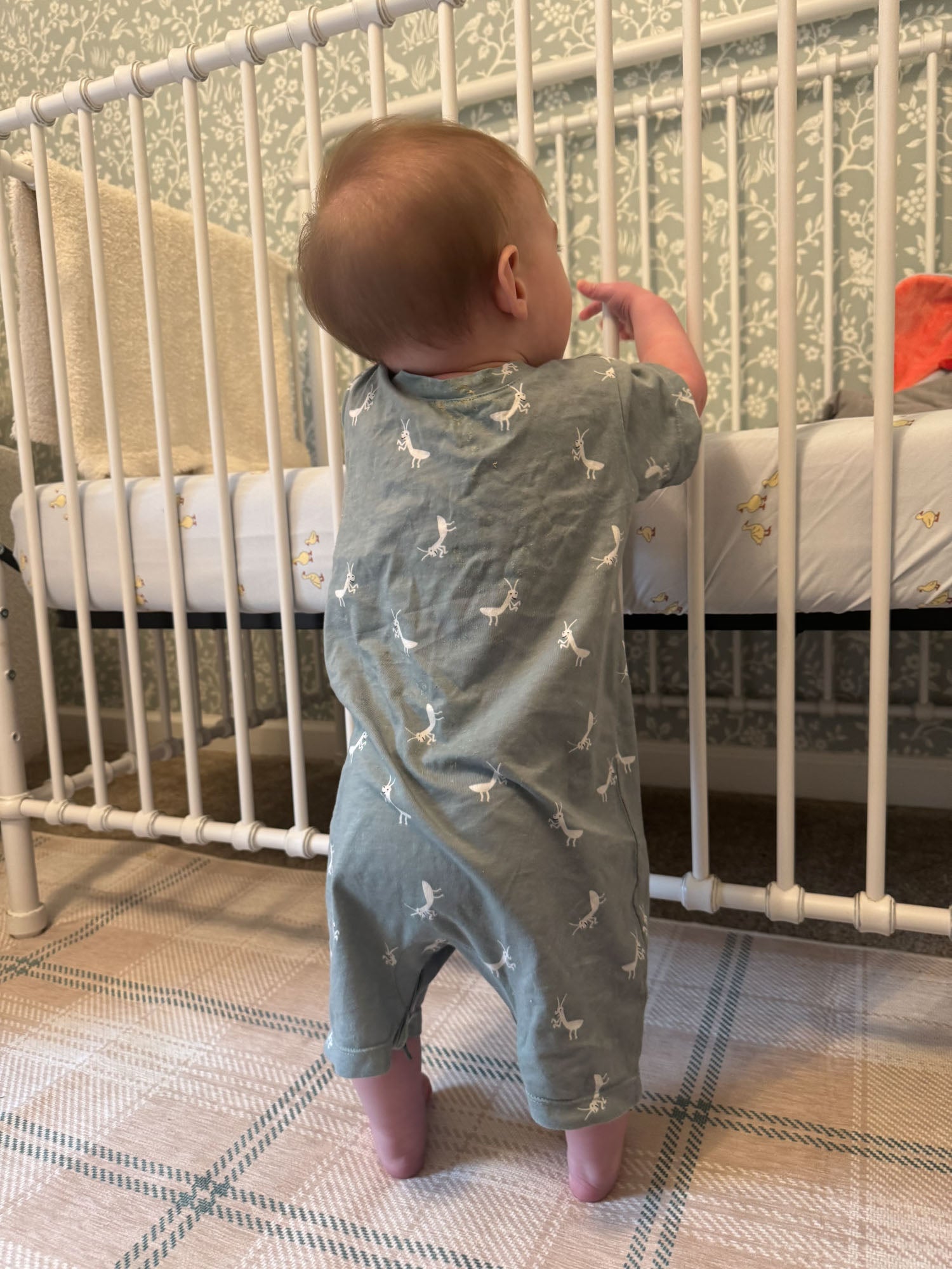 Cotton Shortie Romper - Mantis