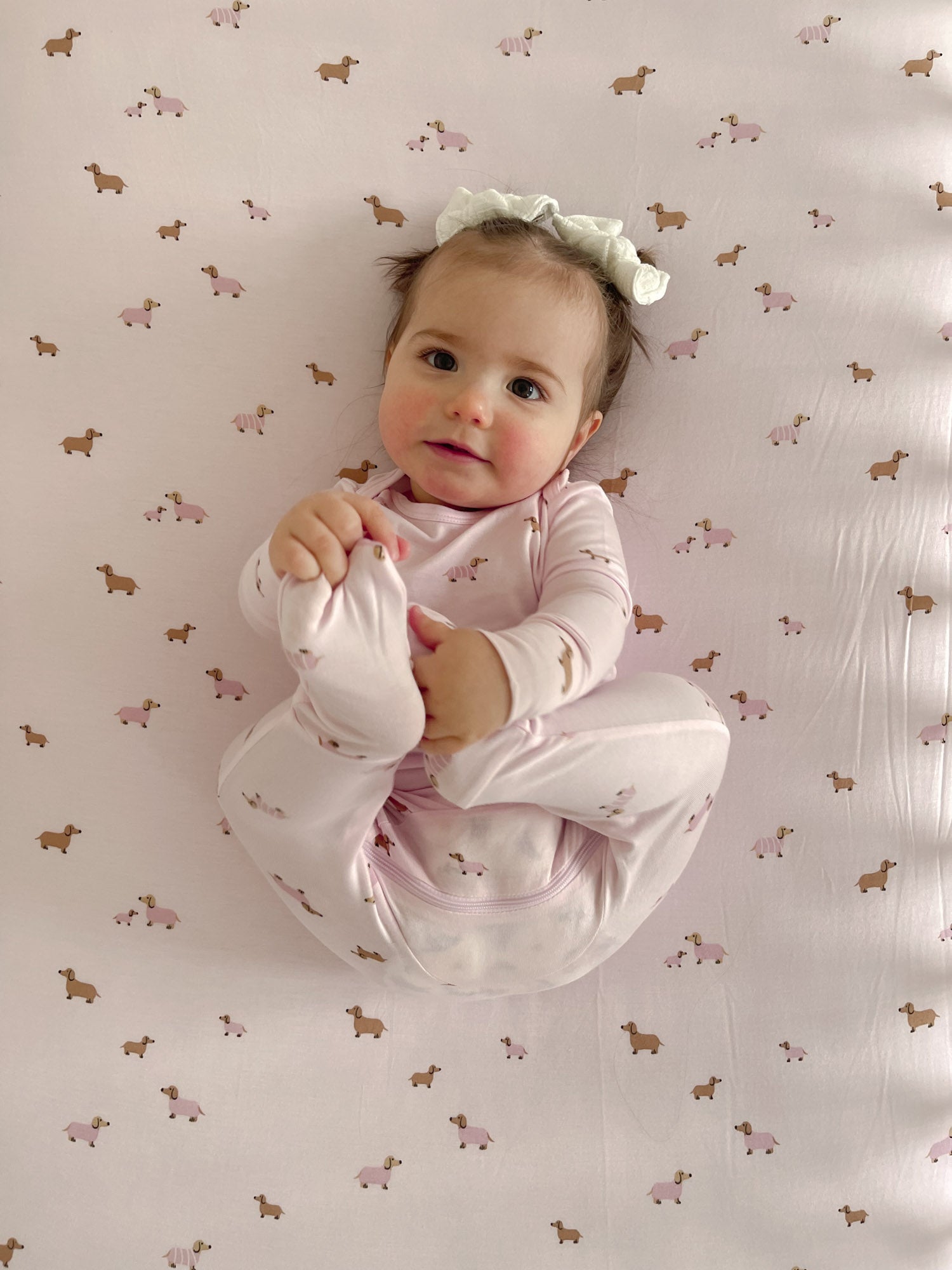 Crib Sheet - Girl Dog