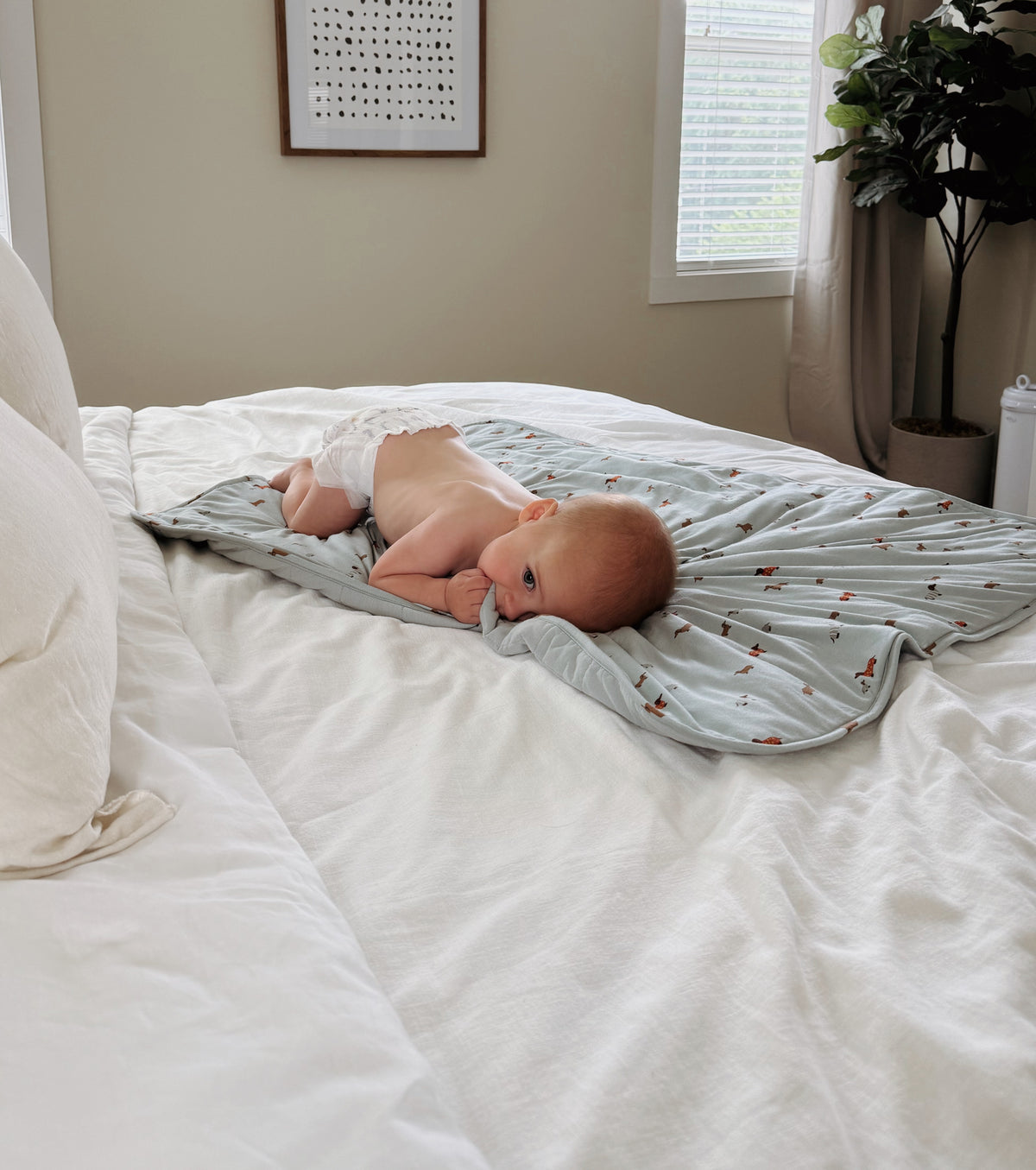 Cloud Blanket - Woof / 2.5 TOG