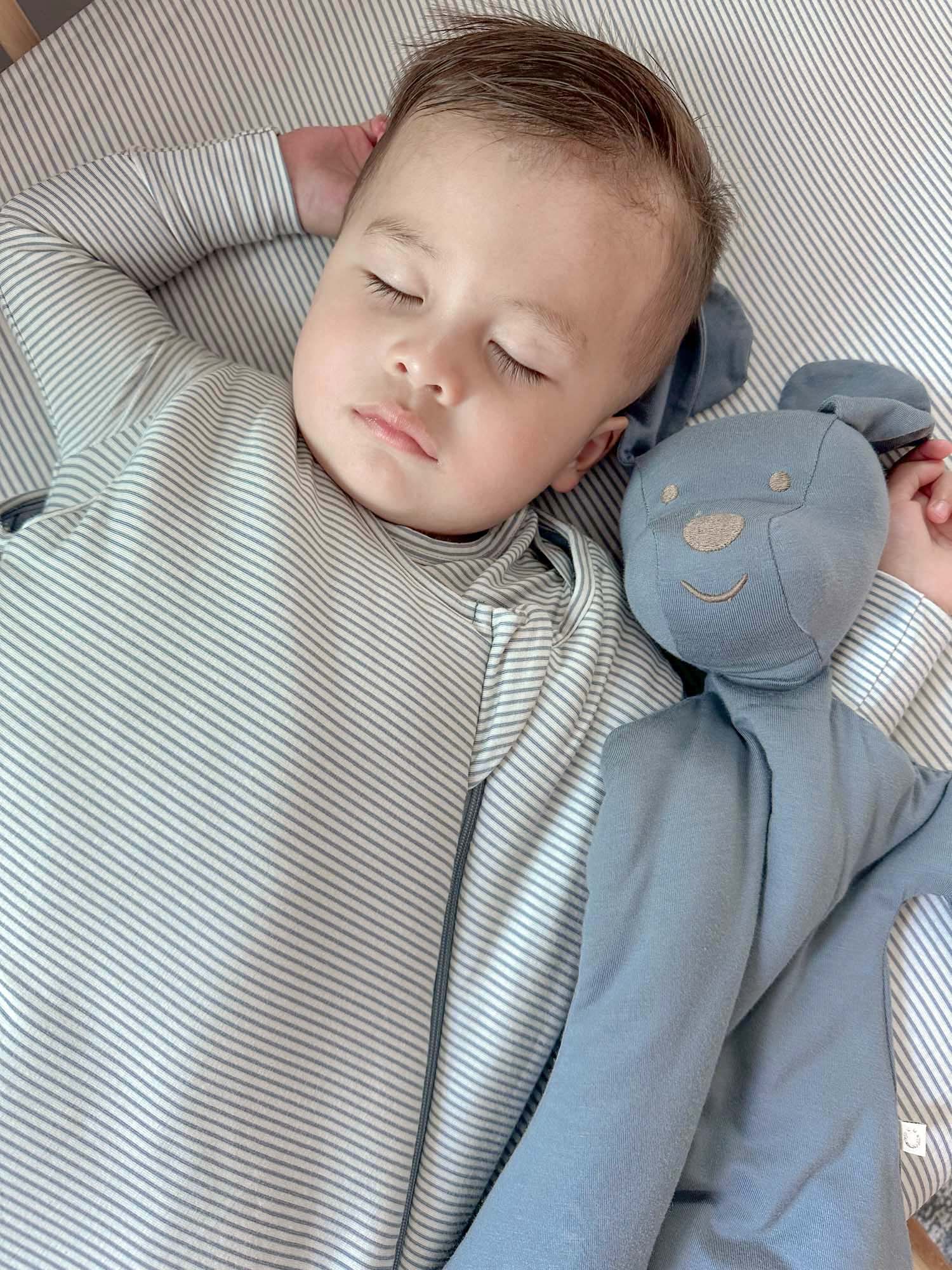 Sleep Sack - Blue Stripes / 0.5 TOG