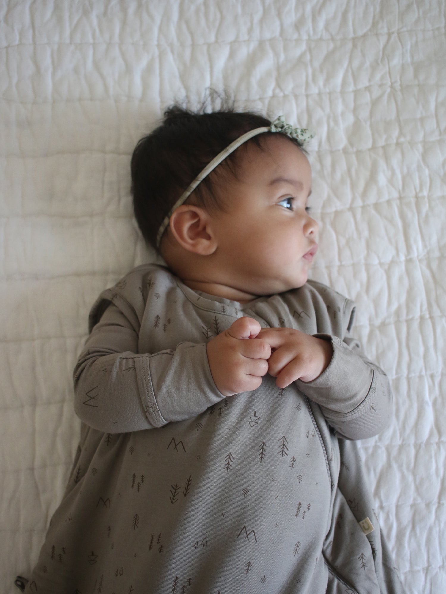 Sleep Sack - National Park / 2.5 TOG