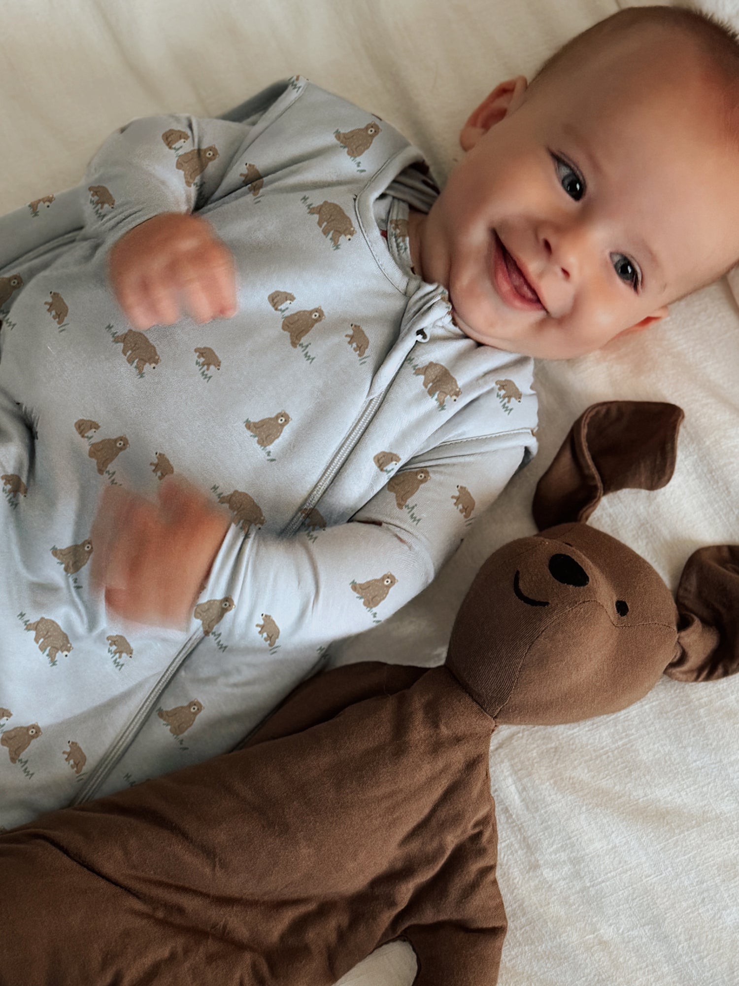 Sleep Sack - Teddies / 1.0 TOG