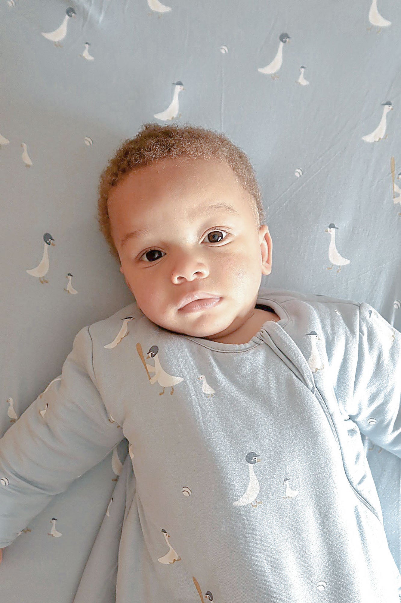 Long Sleeve Sleep Sack - Baseball Goose / 1.0 TOG