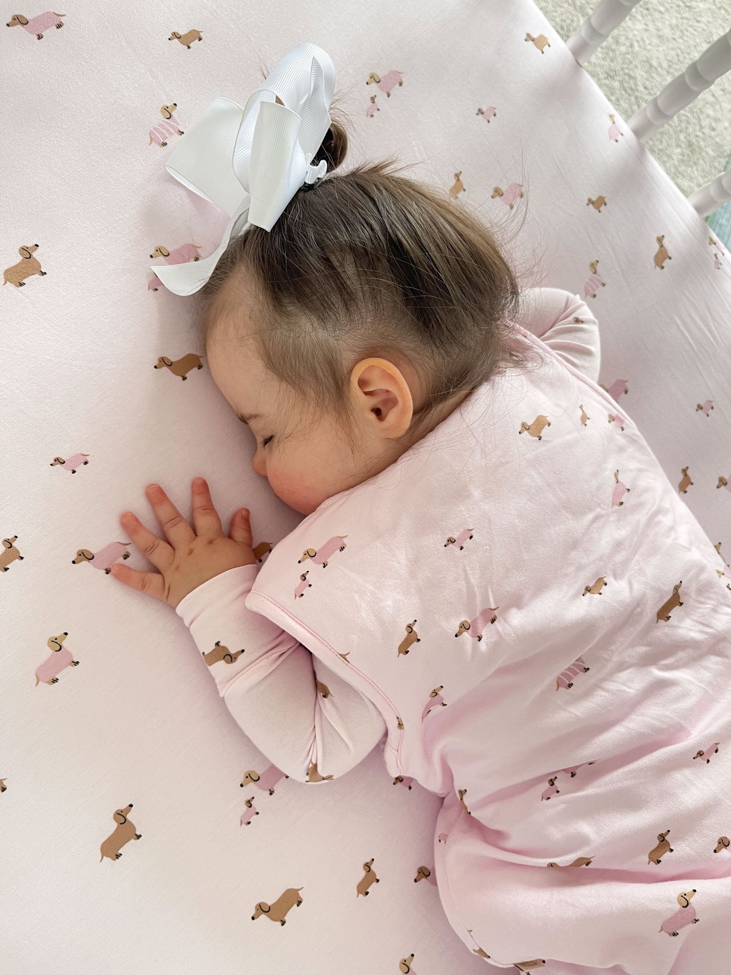 Footie Sleep Sack - Girl Dog / 0.5 TOG