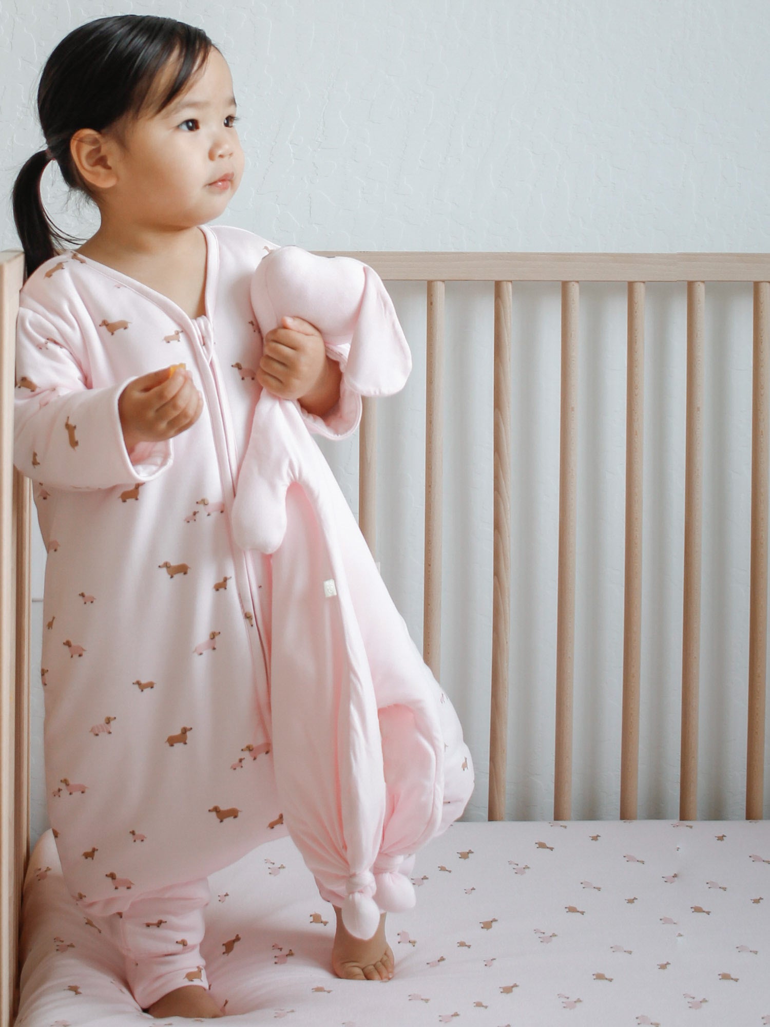 Long Sleeve Footie Sleep Sack - Girl Dog / 1.0 TOG