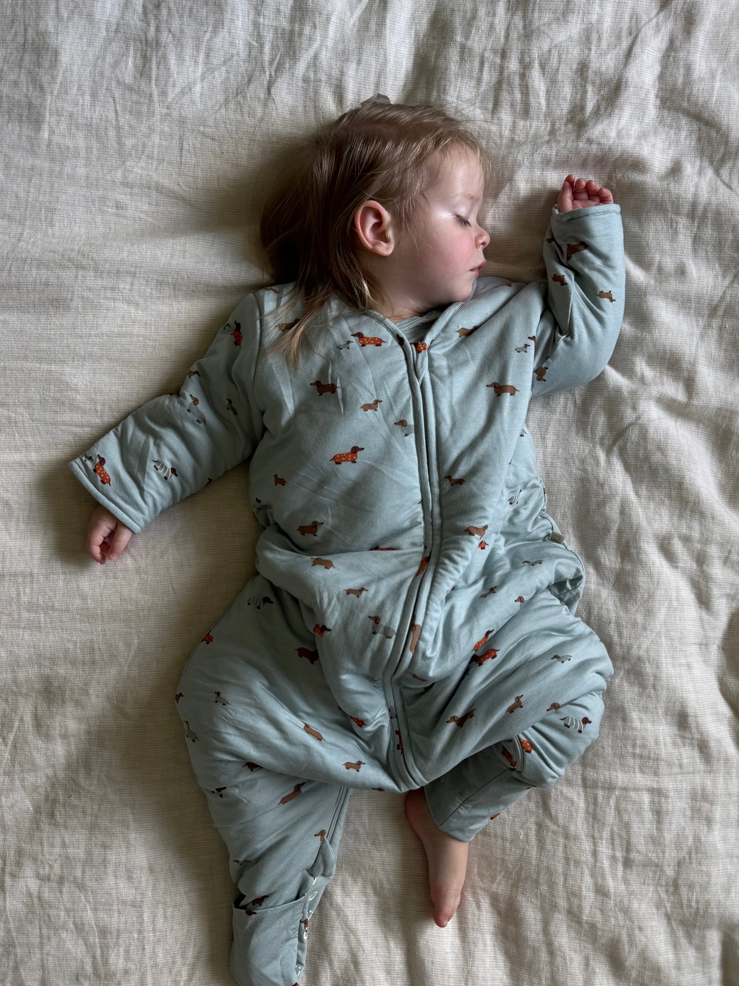 Long Sleeve Footie Sleep Sack - Woof / 2.5 TOG