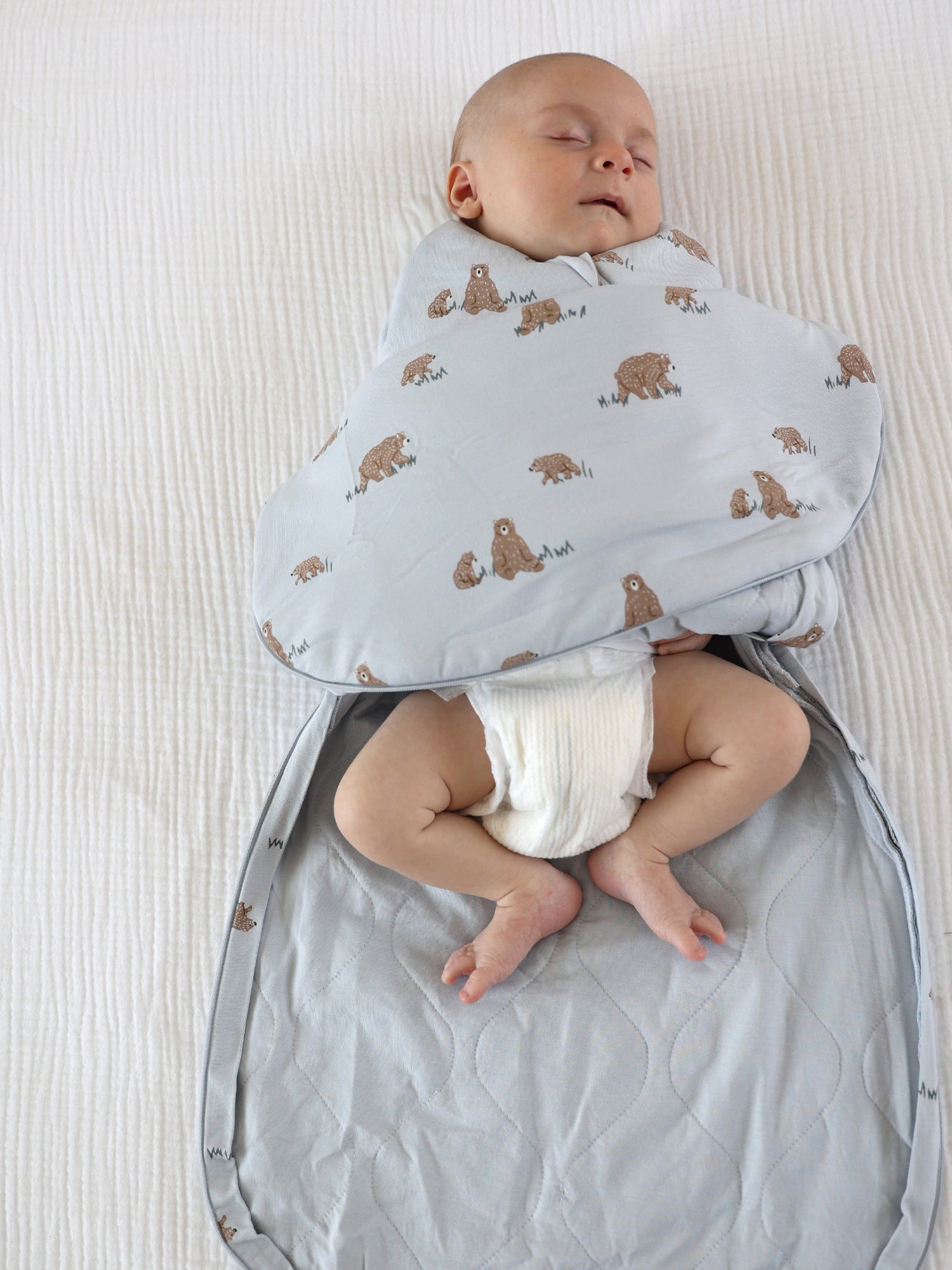 Swaddle Sleep Sack - Teddies / 1.0 TOG