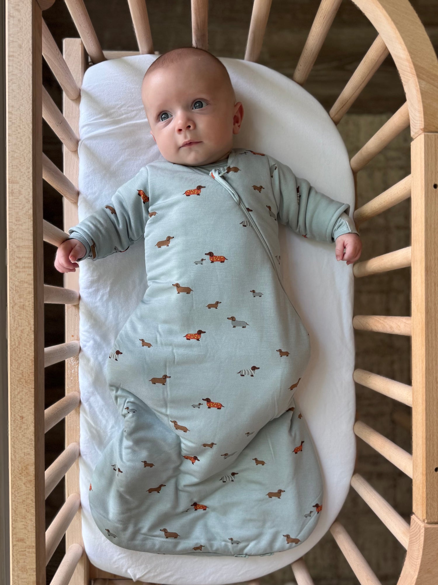 Long Sleeve Swaddle Sleep Sack - Woof / 1.0 TOG