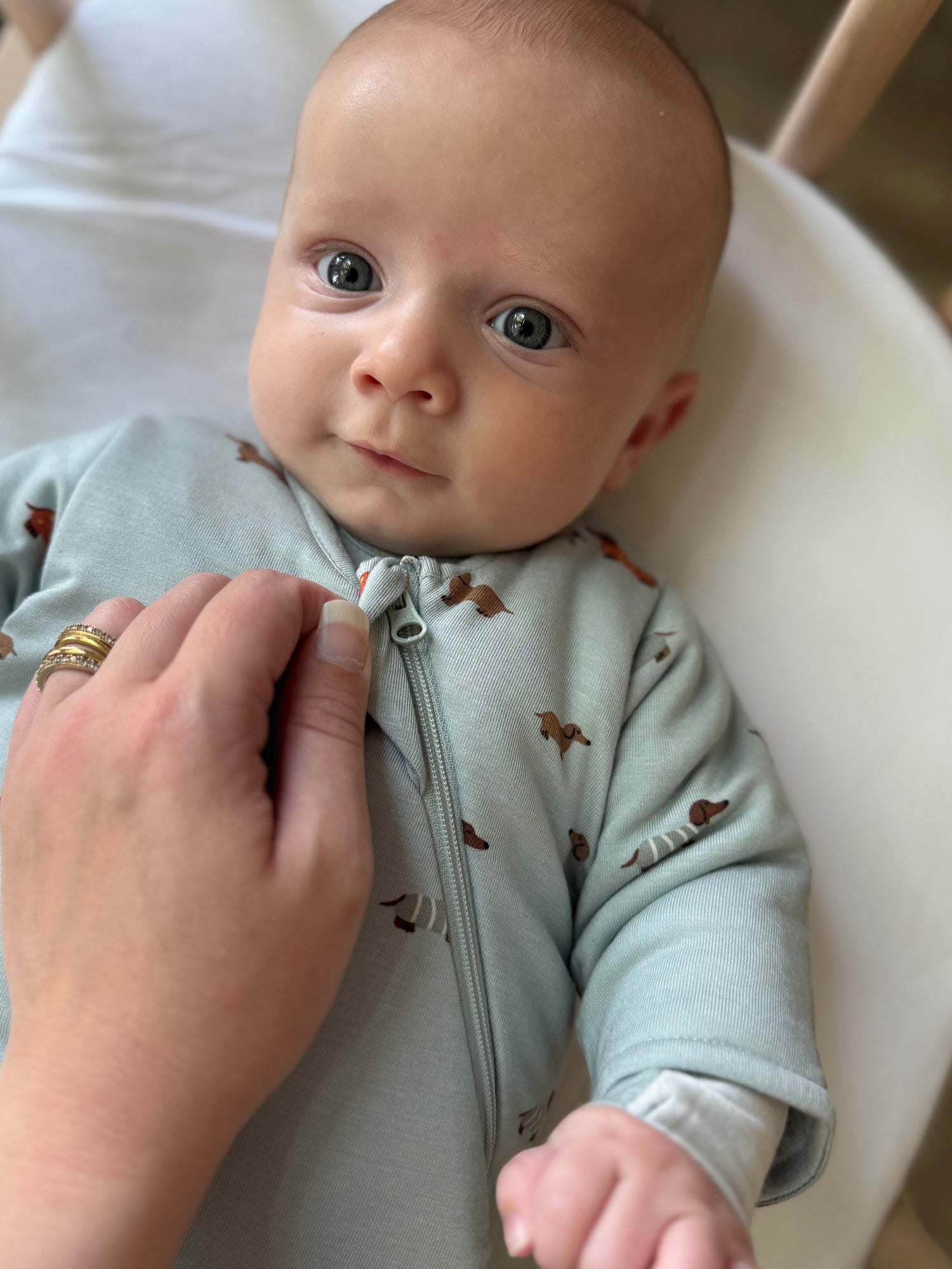 Long Sleeve Swaddle Sleep Sack - Woof / 1.0 TOG