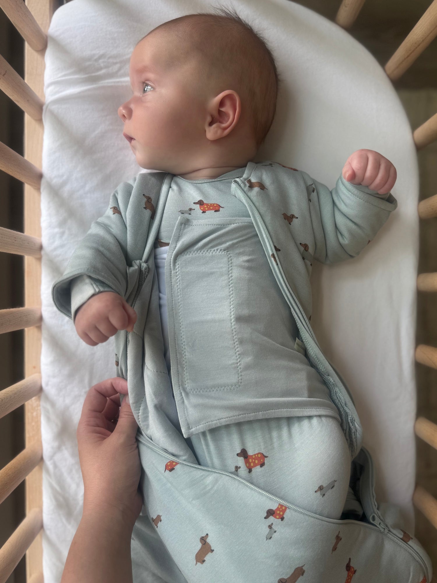 Long Sleeve Swaddle Sleep Sack - Woof / 1.0 TOG
