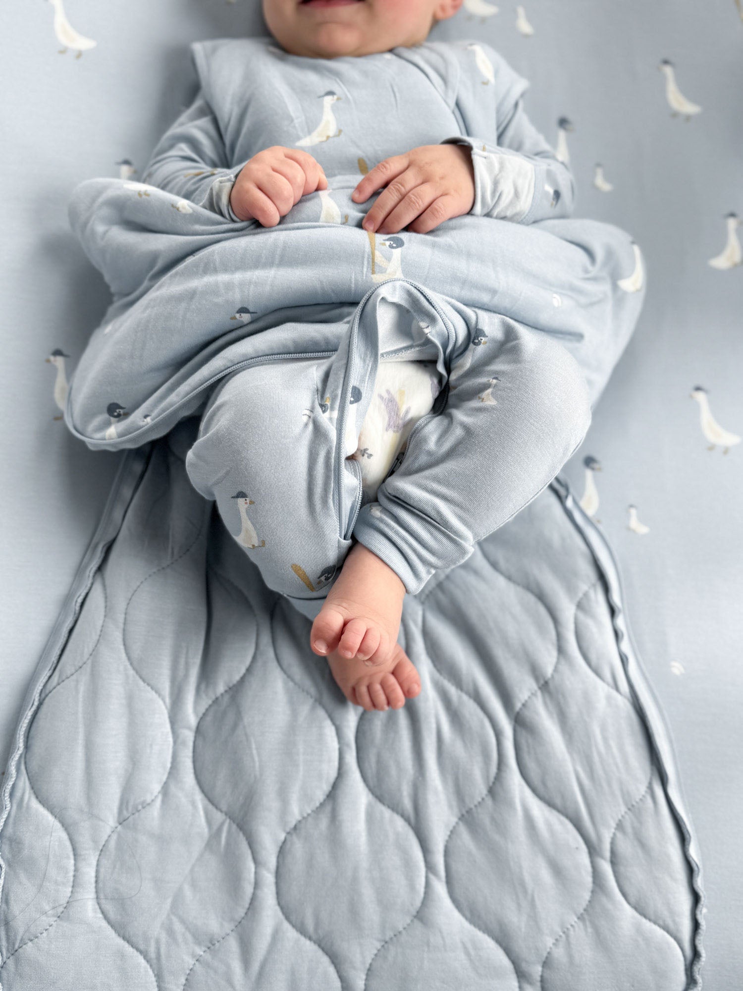 Transitional Swaddle Sleep Sack - Baseball Goose / 1.0 TOG