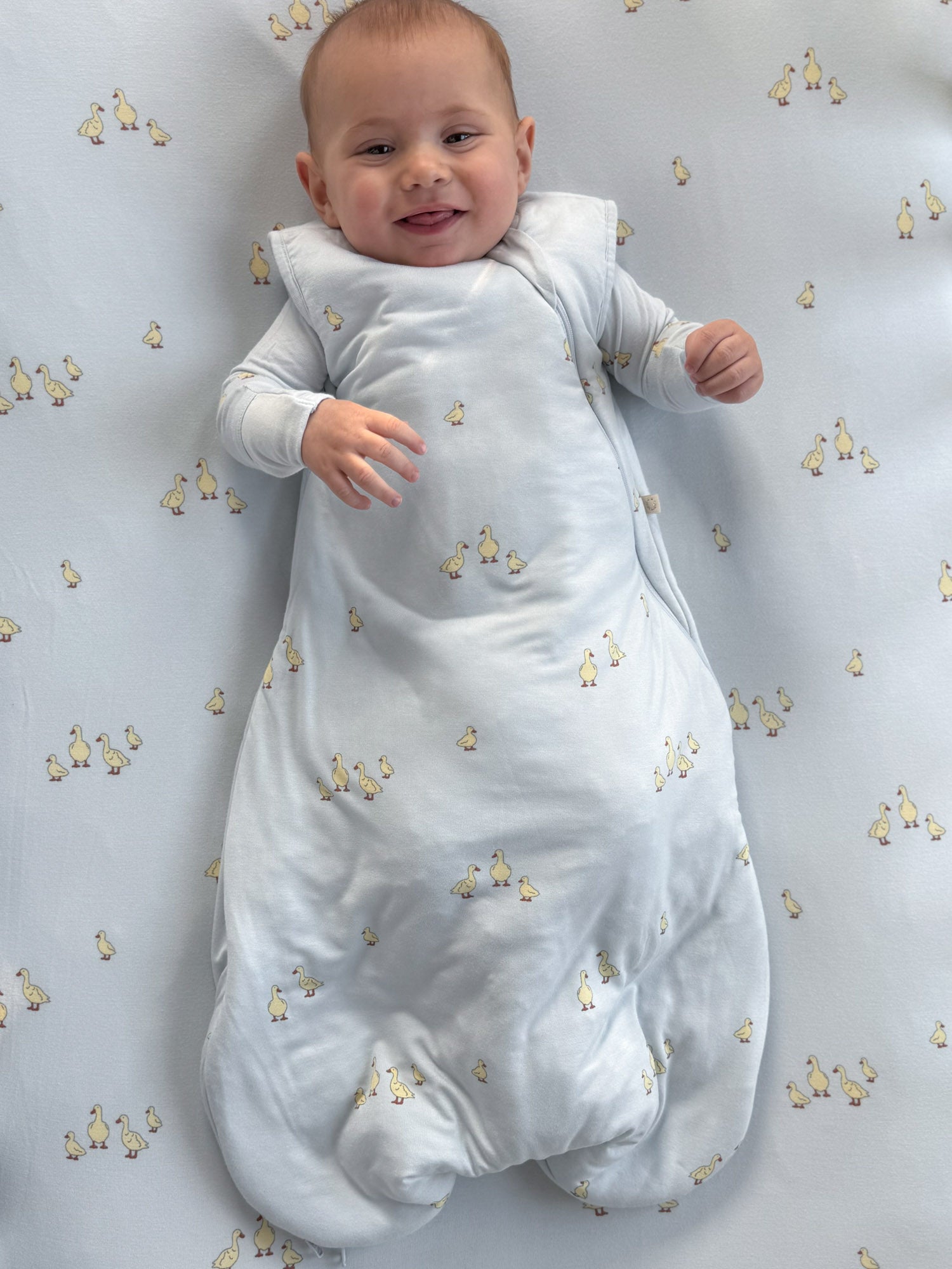 Transitional Swaddle Sleep Sack - Friends / 0.5 TOG