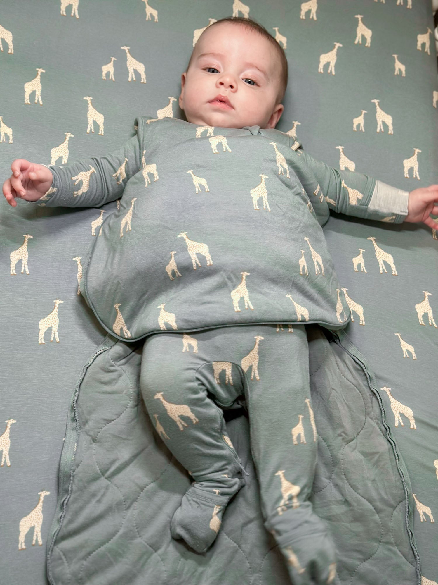 Transitional Swaddle Sleep Sack - Giraffe Moss / 1.0 TOG