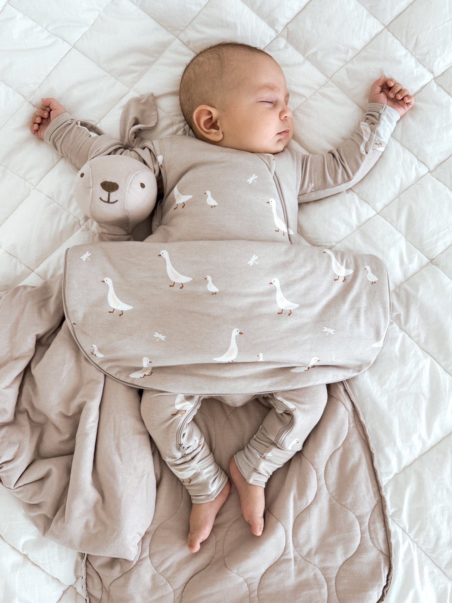Transitional Swaddle Sleep Sack - Goose / 1.0 TOG