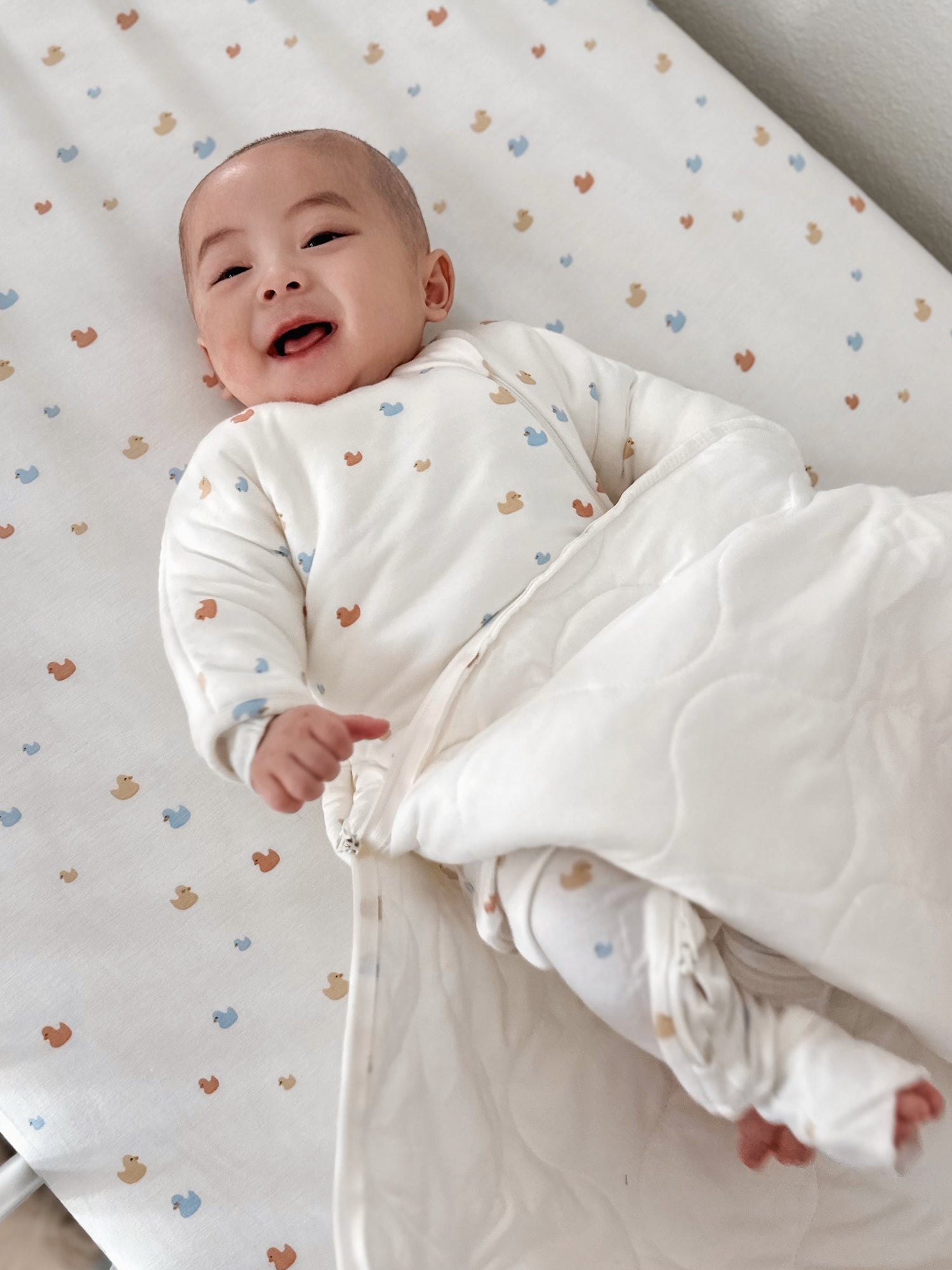 Long Sleeve Transitional Swaddle Sack - Ducks / 1.0 TOG