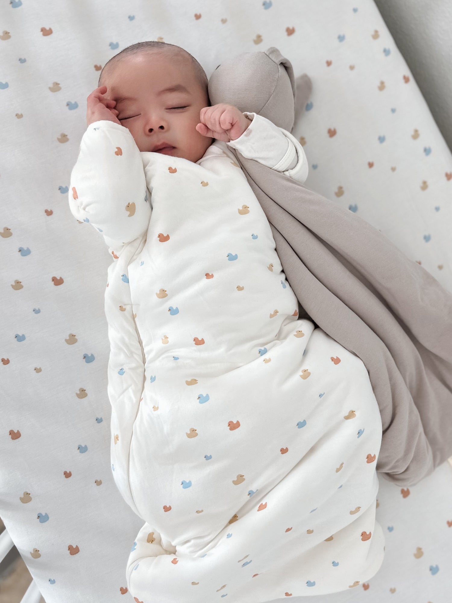 Long Sleeve Transitional Swaddle Sack - Ducks / 1.0 TOG