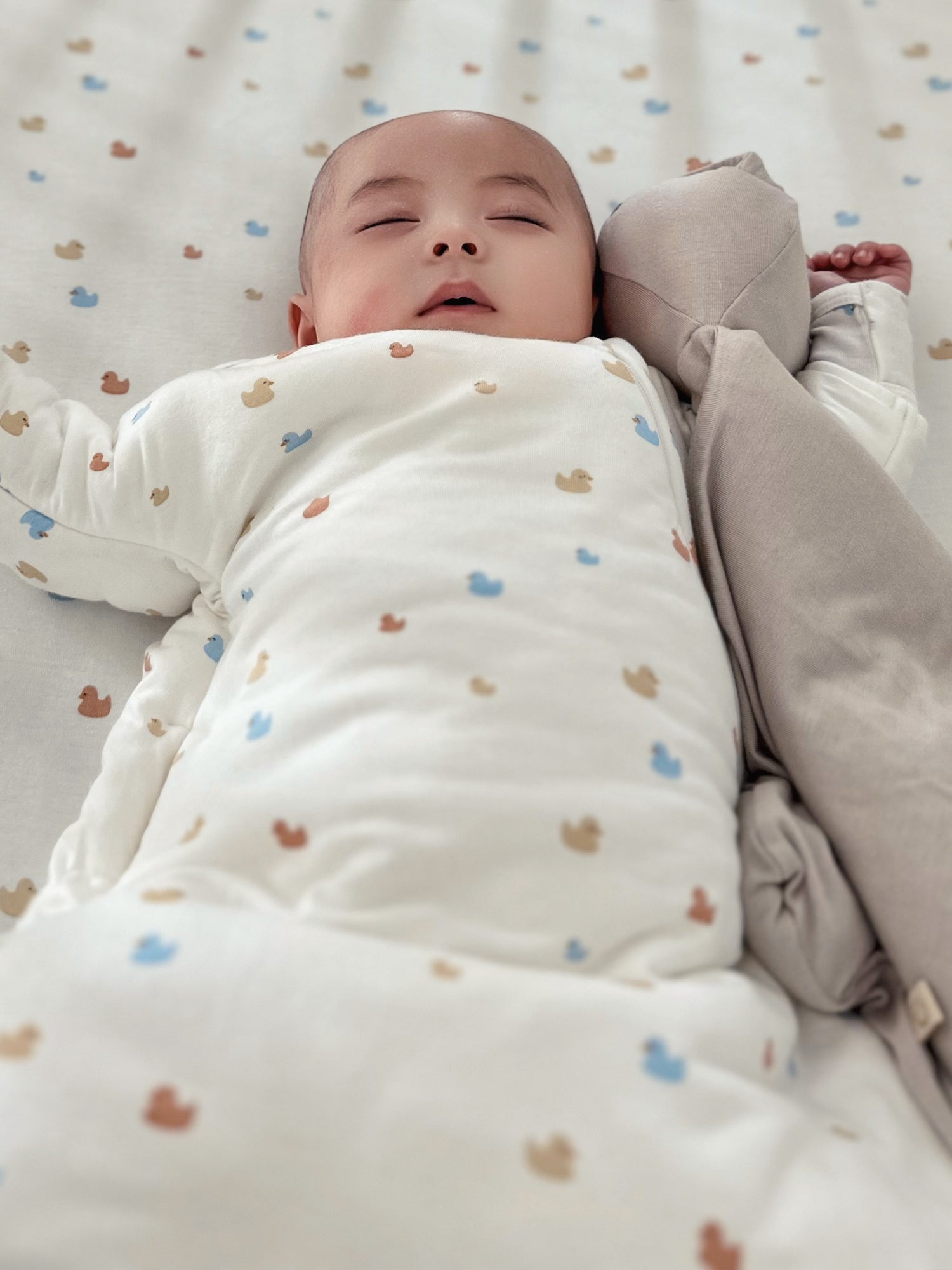 Long Sleeve Transitional Swaddle Sack - Ducks / 1.0 TOG