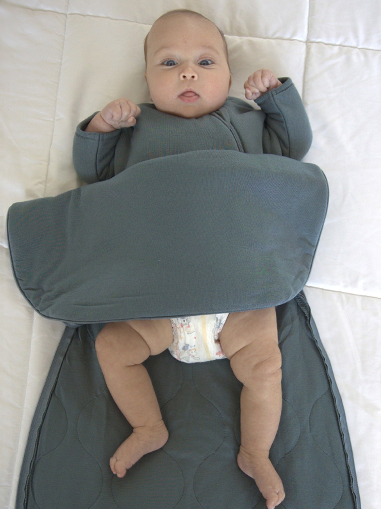 Long Sleeve Transitional Swaddle Sack - Hush / 1.0 TOG