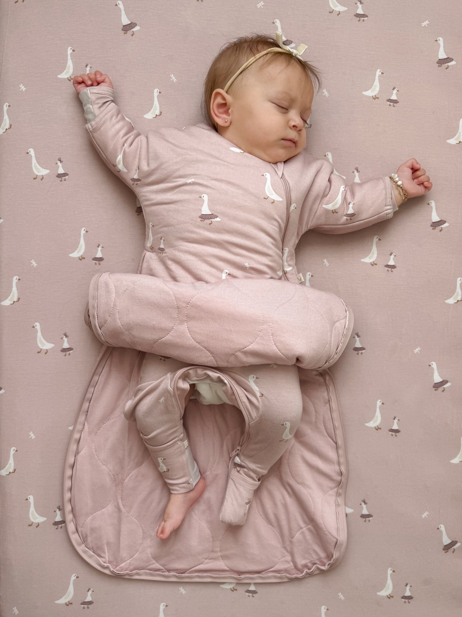 Long Sleeve Transitional Swaddle Sack - Tutu Goose / 1.0 TOG