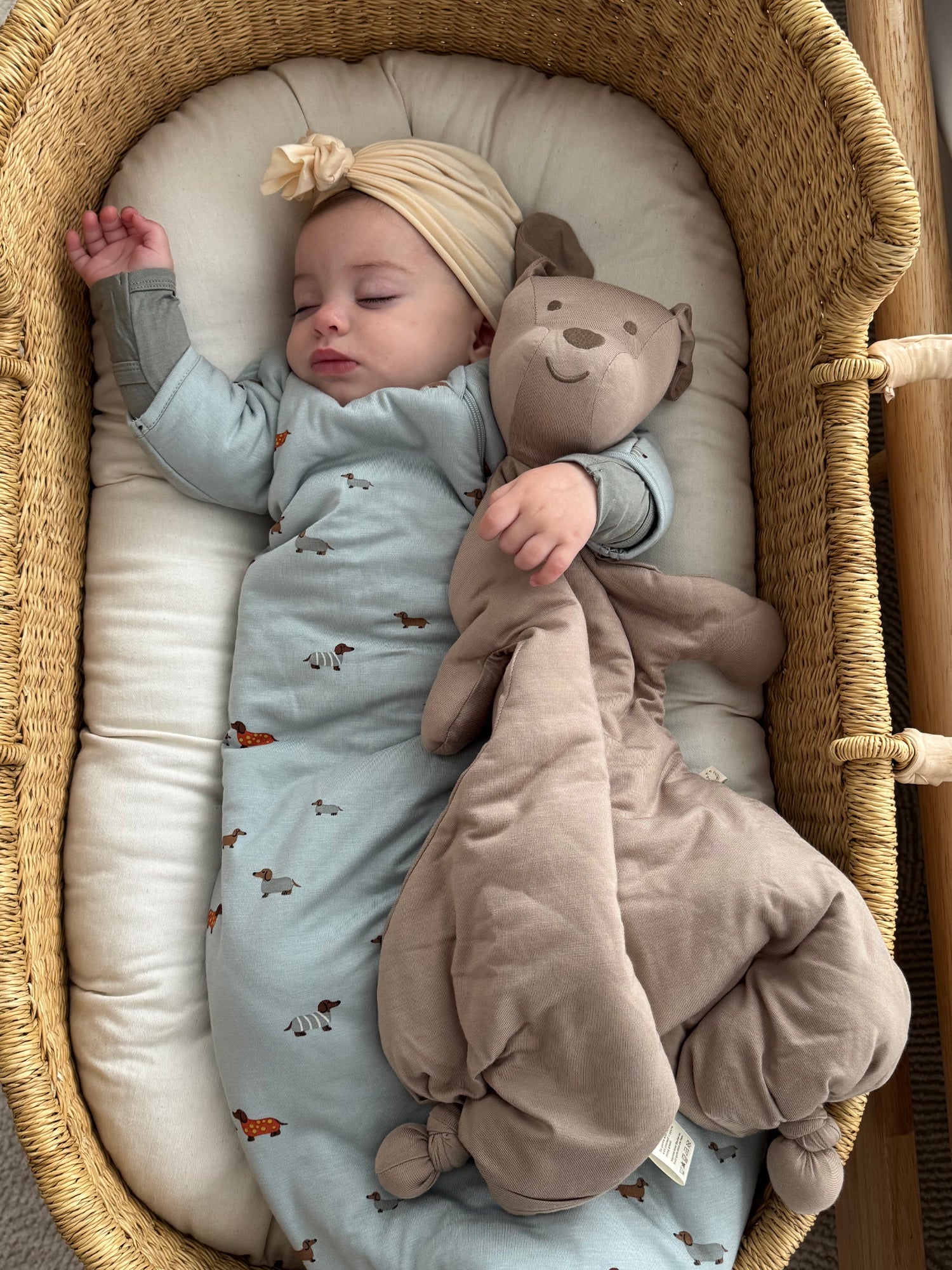 Long Sleeve Transitional Swaddle Sack - Woof / 1.0 TOG