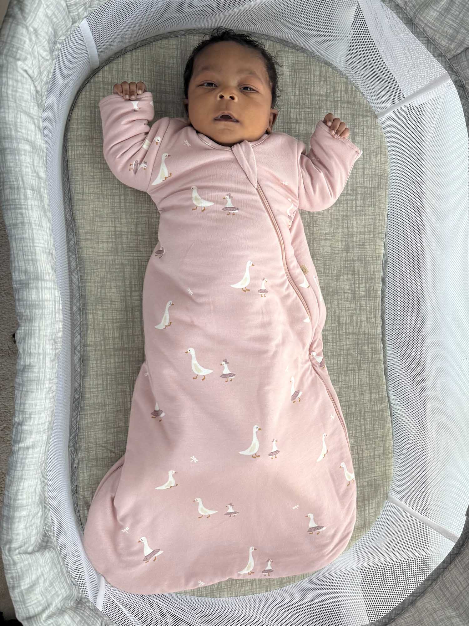 Long Sleeve Swaddle Sleep Sack - Tutu Goose / 1.0 TOG