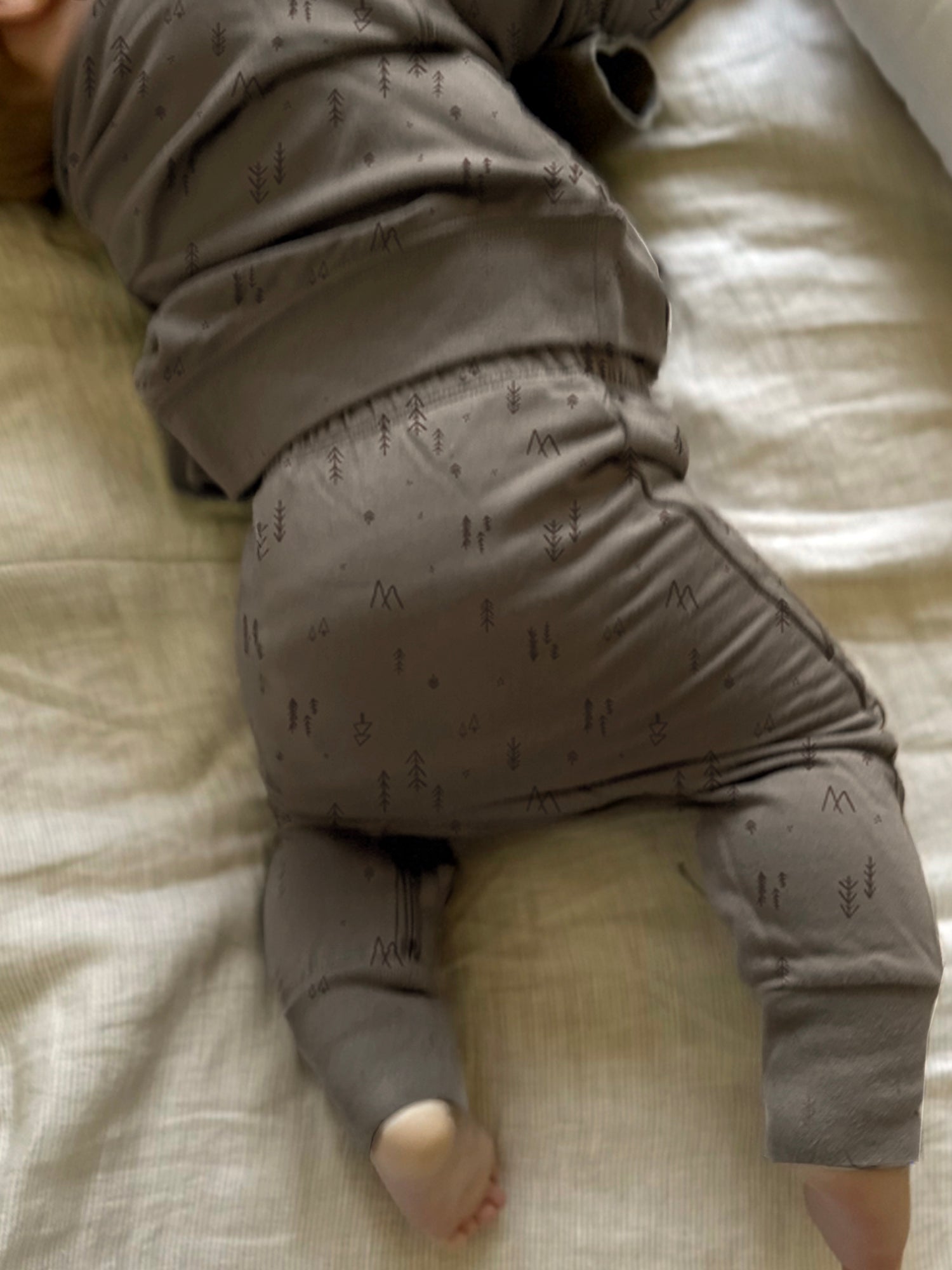 Fleece Sweatsuit - National Park