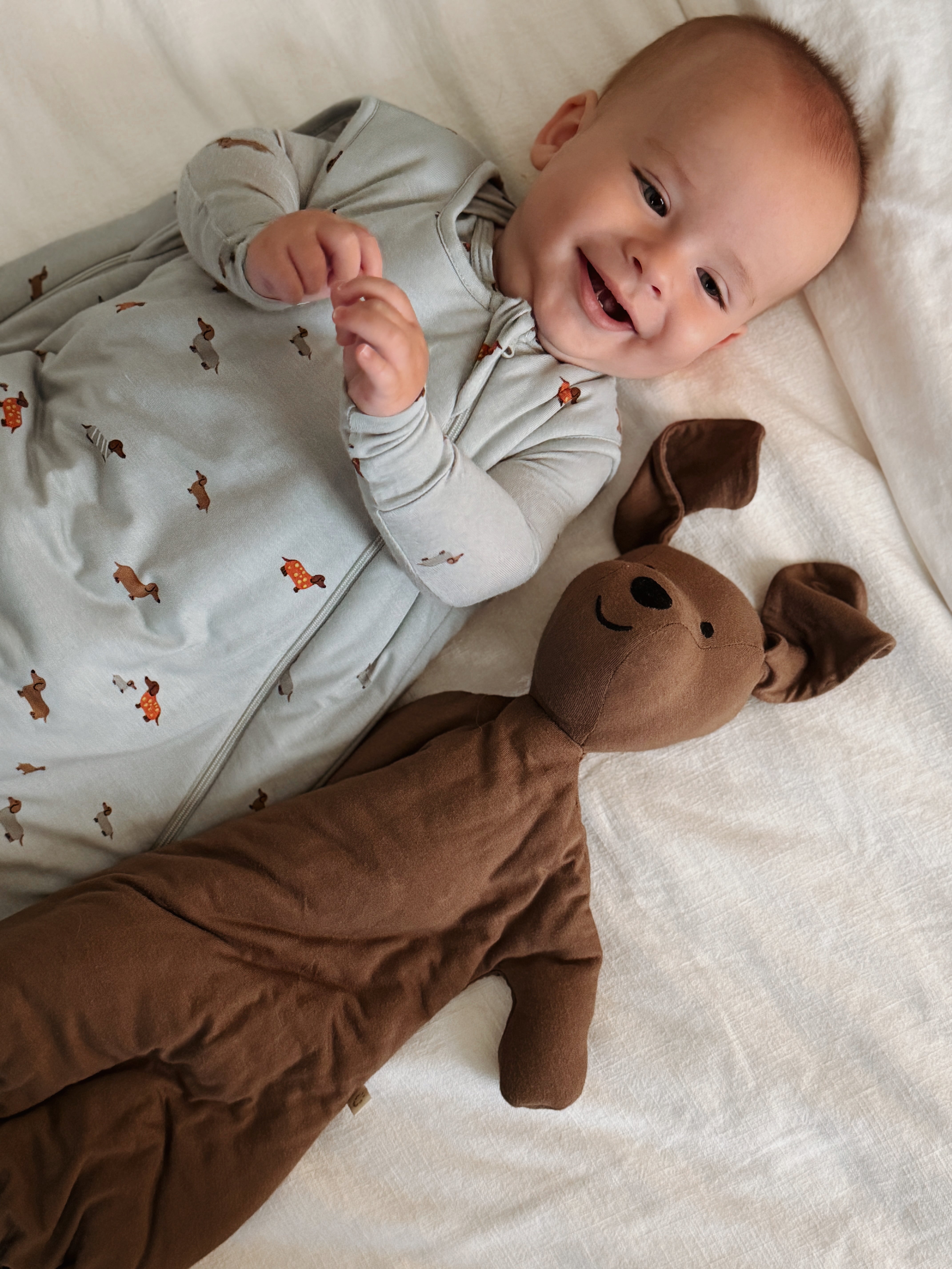 Sleep Sack - Woof / 1.0 TOG