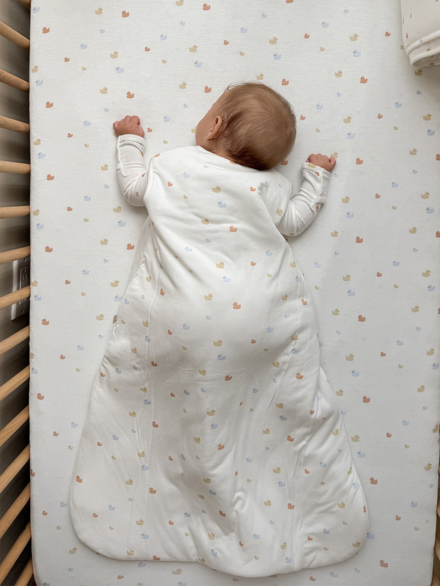 Sleep Sack - Ducks / 1.0 TOG