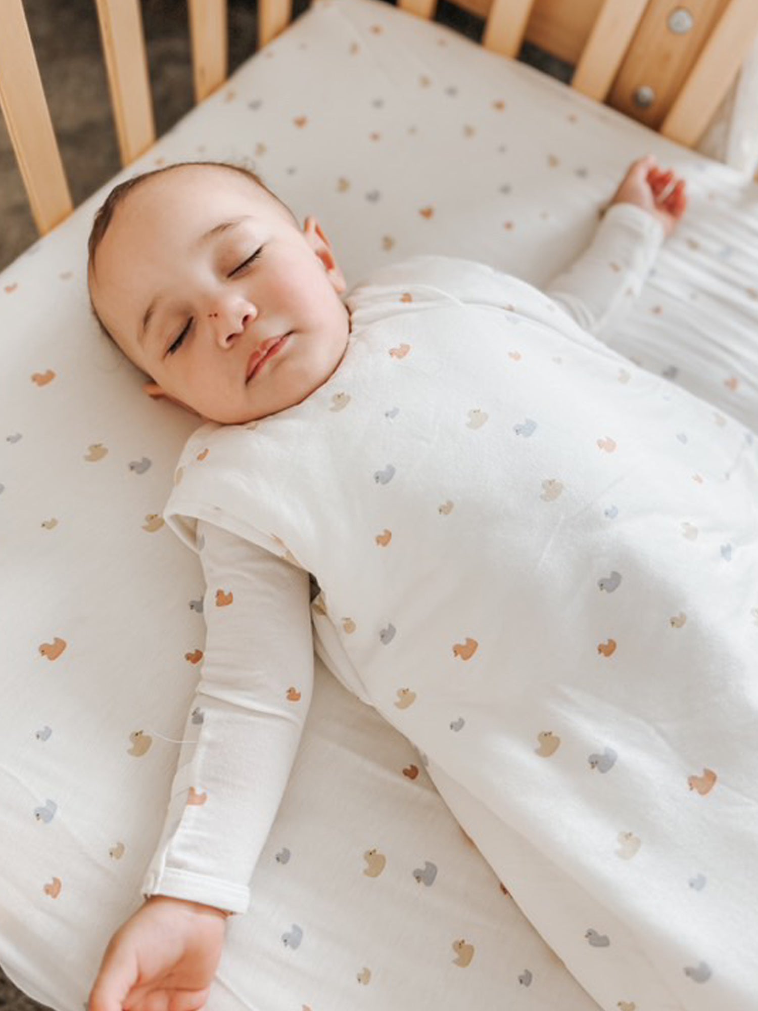 Sleep Sack - Ducks / 1.0 TOG