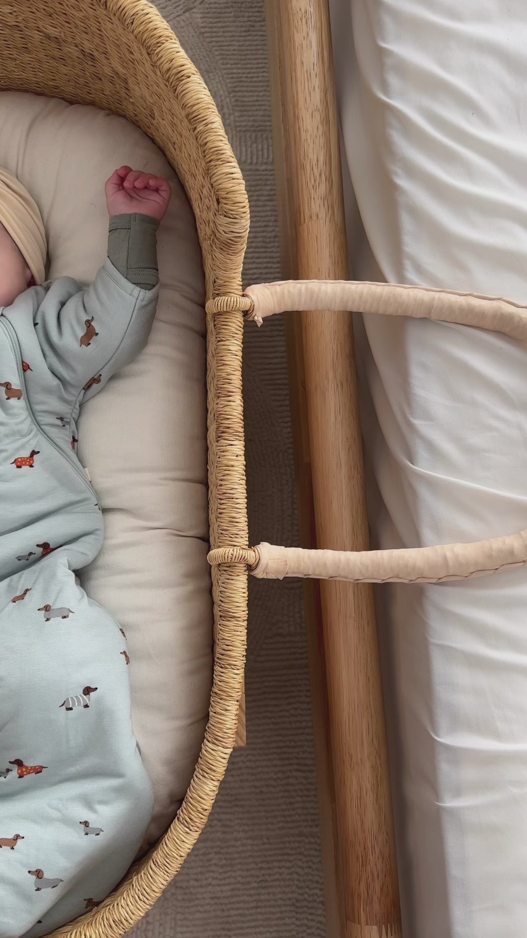 Long Sleeve Transitional Swaddle Sack - Woof / 1.0 TOG