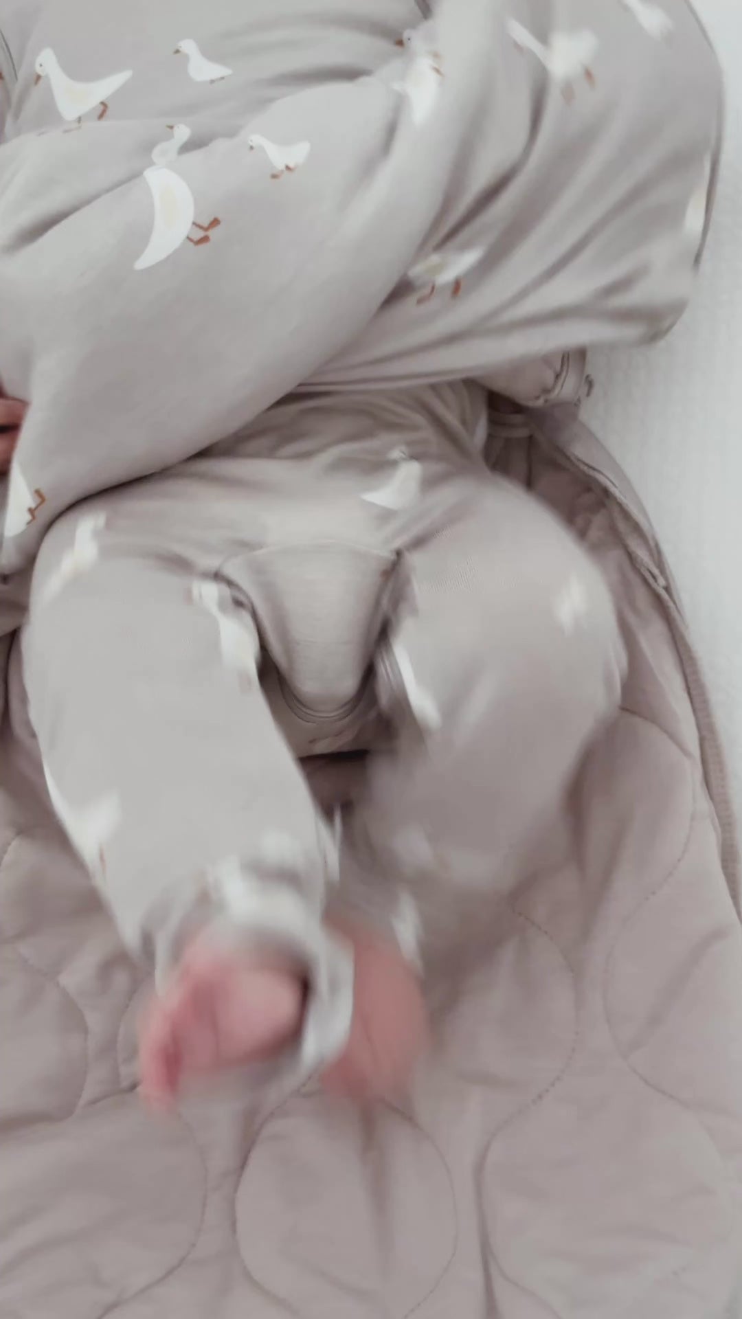 Transitional Swaddle Sleep Sack - Goose / 1.0 TOG
