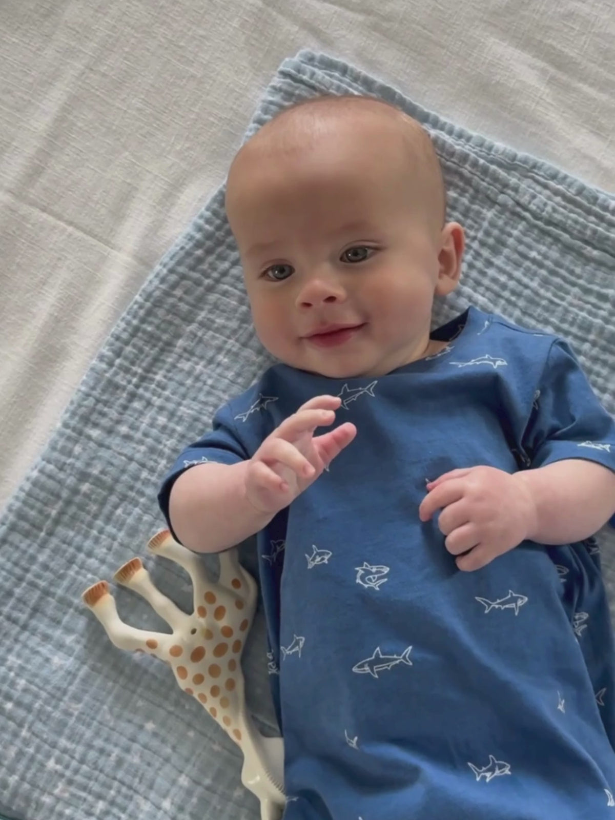 Cotton Shortie Romper - Sharks