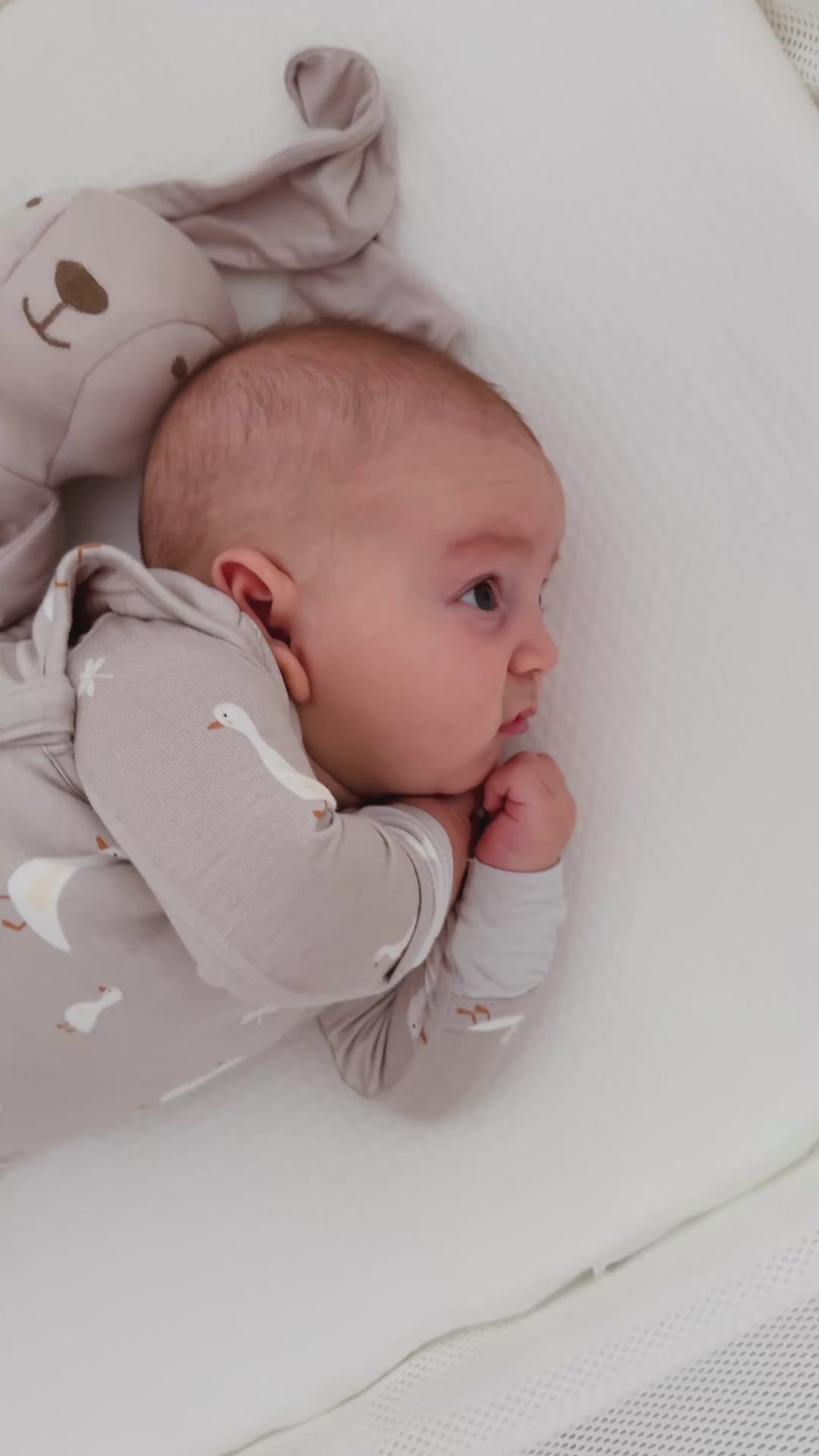 Transitional Swaddle Sleep Sack - Goose / 2.5 TOG