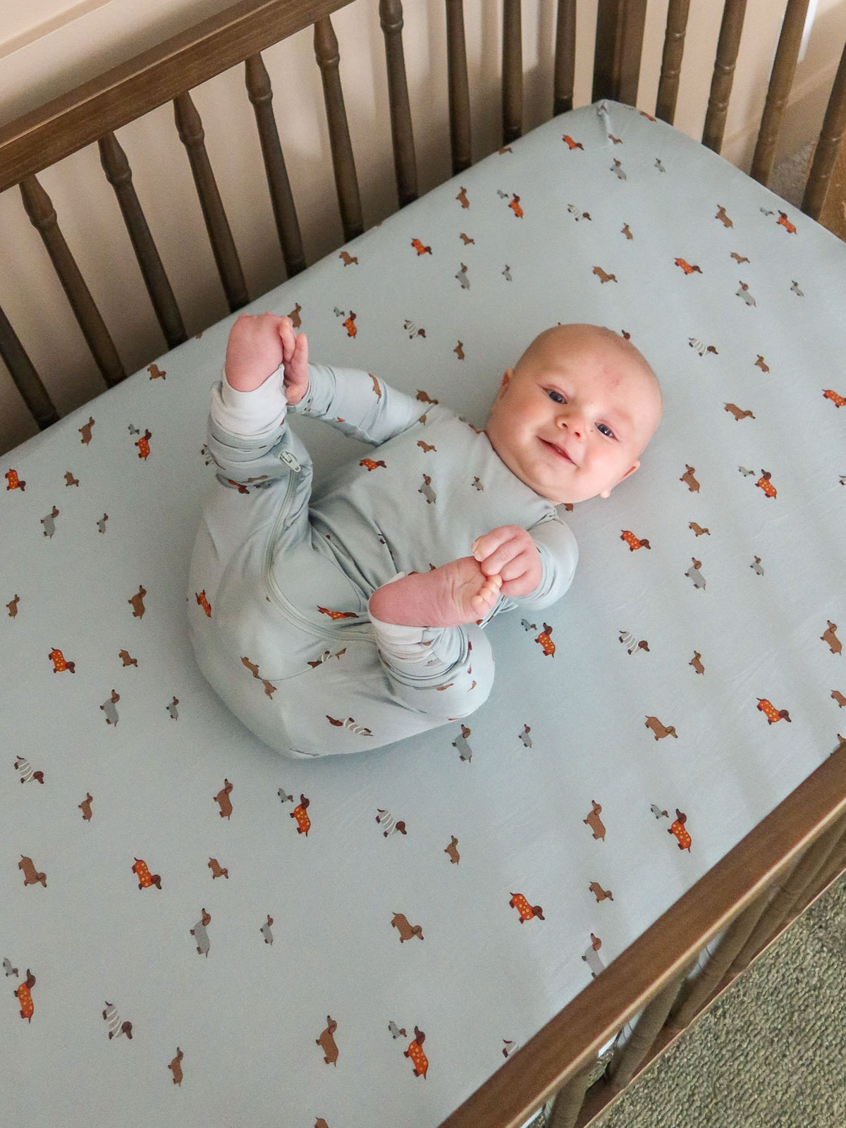Light blue crib sheet with small orange dog pattern, baby on fitted mattress