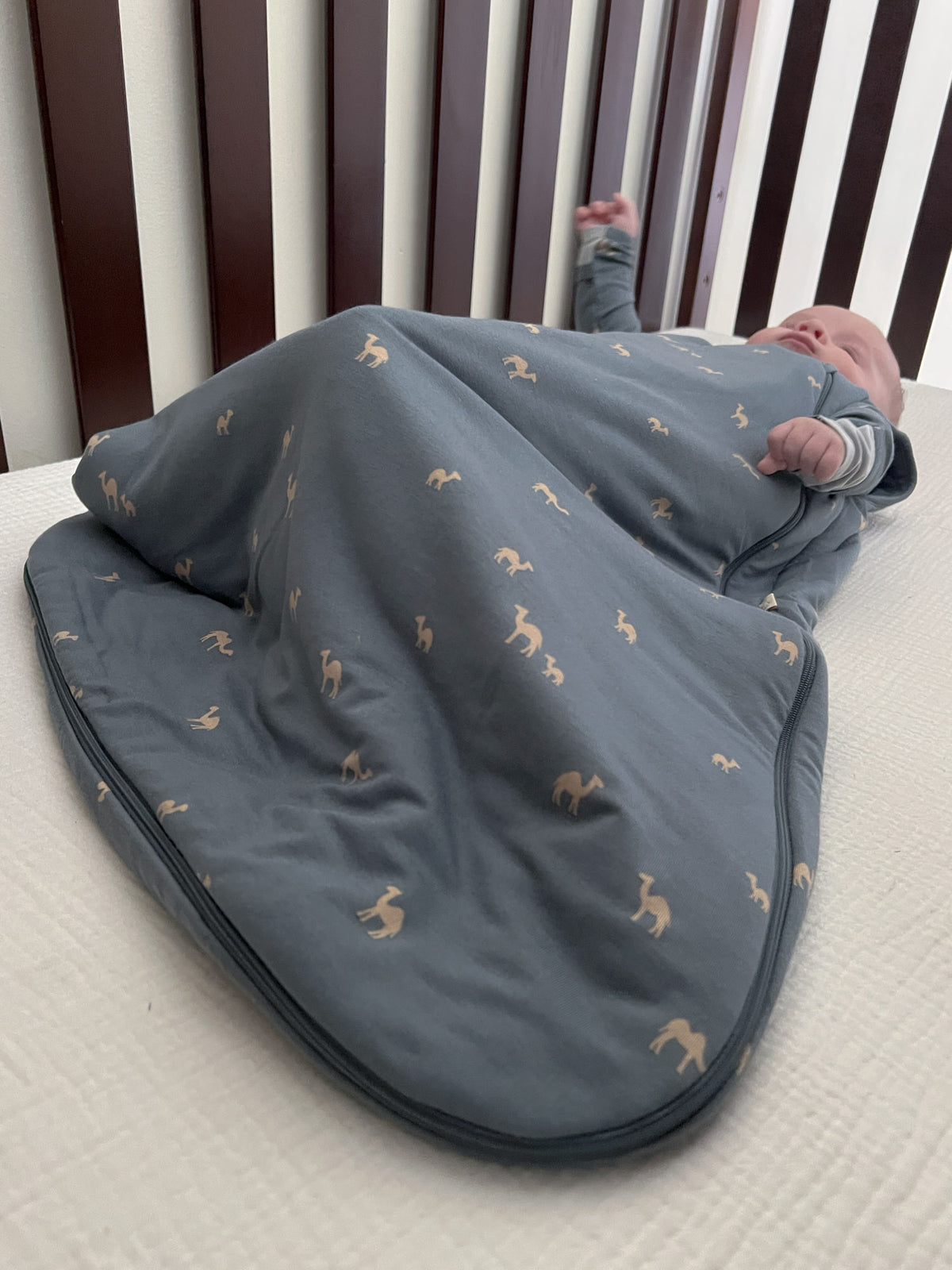 Sleep Sack - Camel / 2.5 TOG