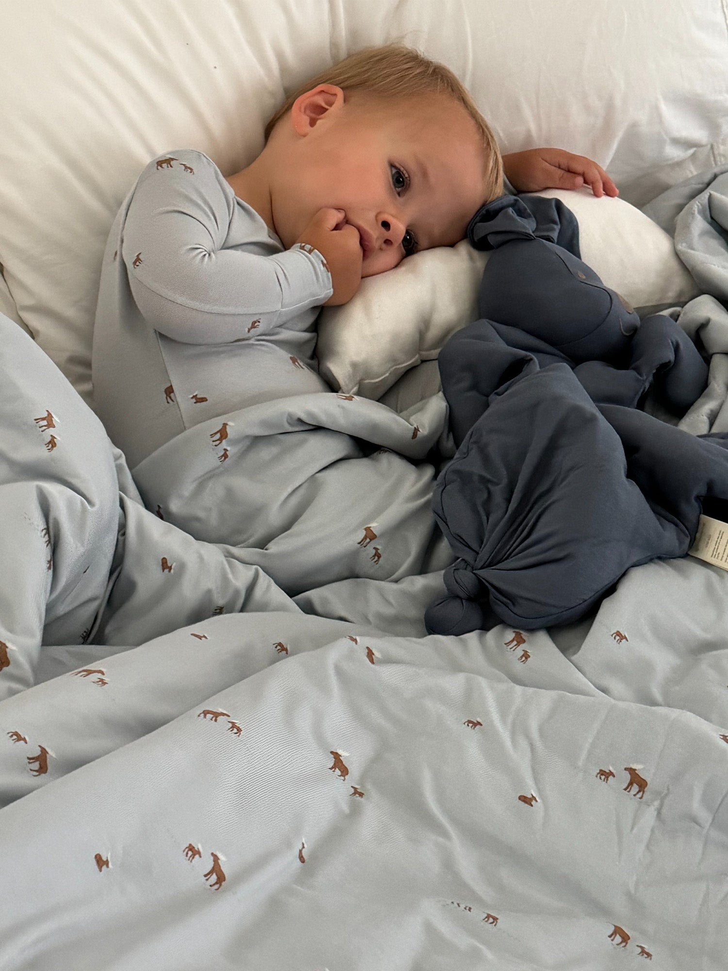 Cloud Blanket - Moose / 2.5 TOG